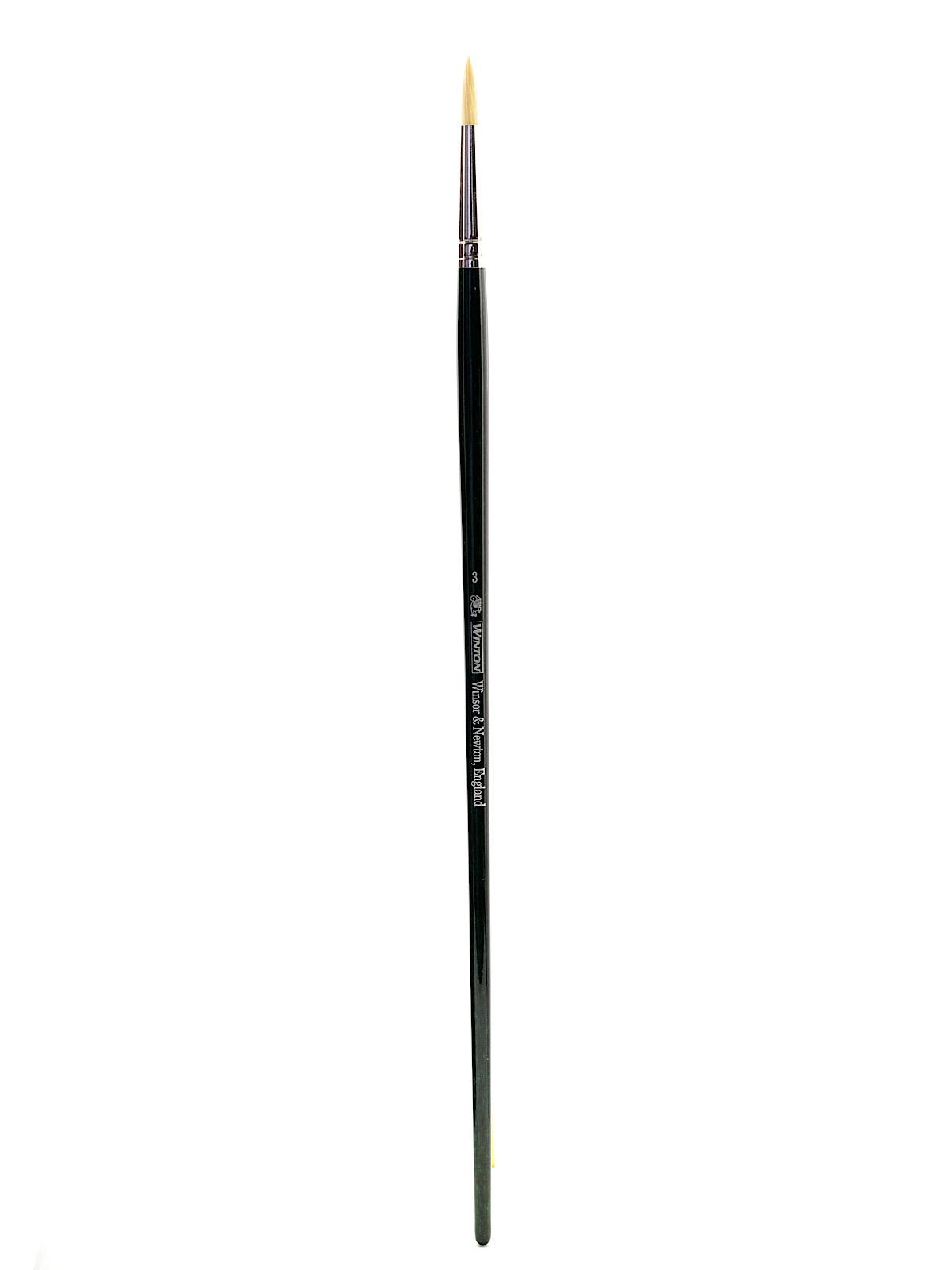 Winton Hog Brushes 3 round