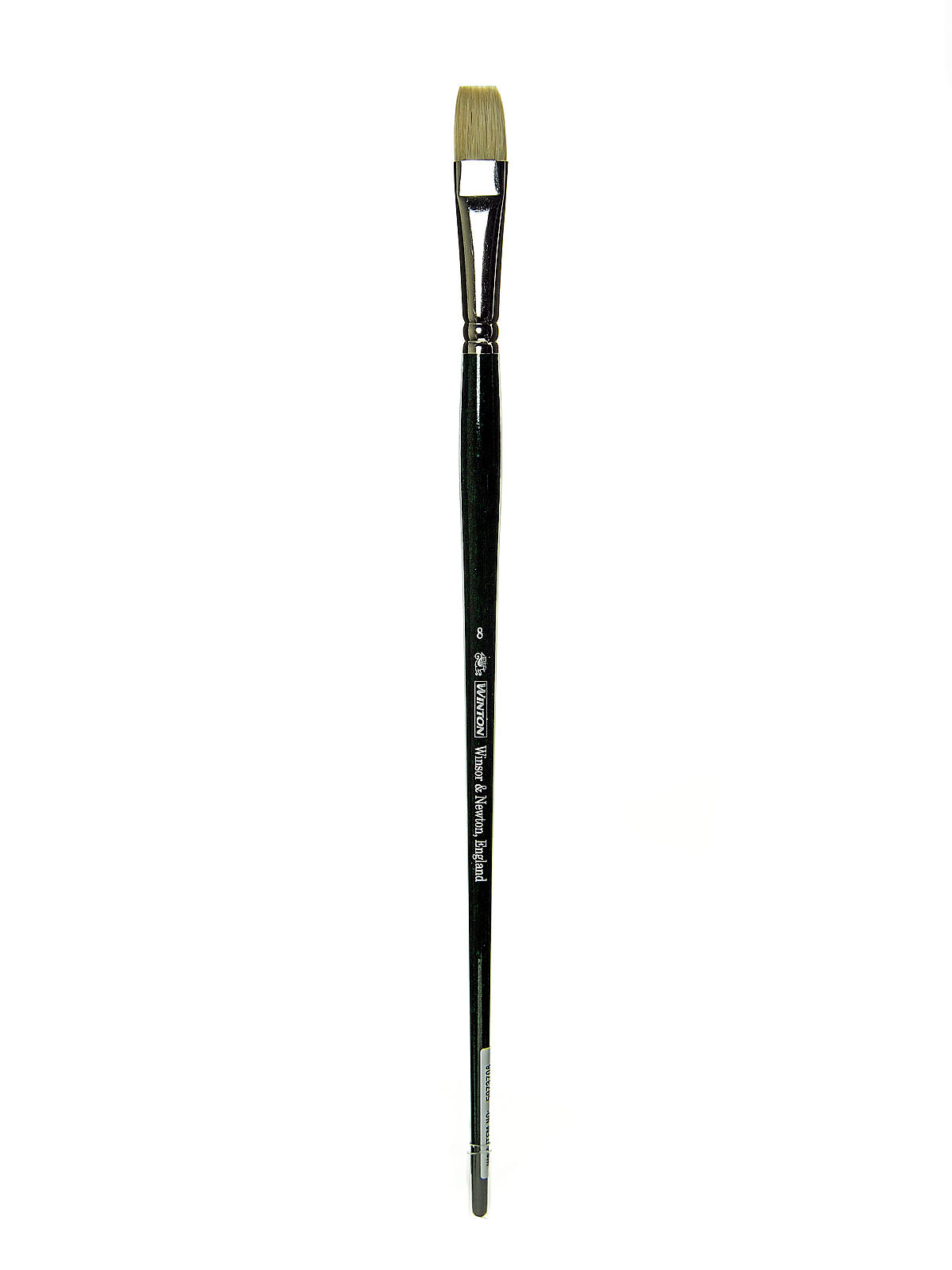 Winton Hog Brushes 8 short flat bright