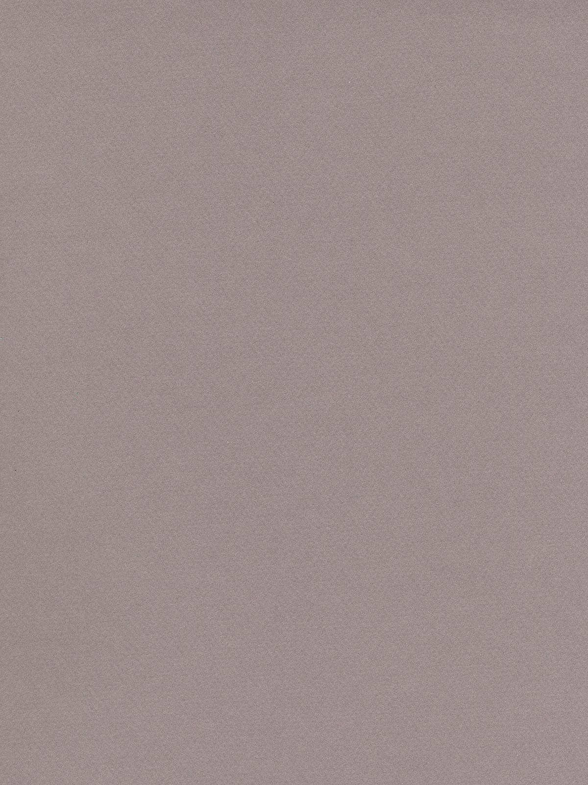 Mi-teintes Tinted Paper Flannel Grey 19 In. X 25 In.