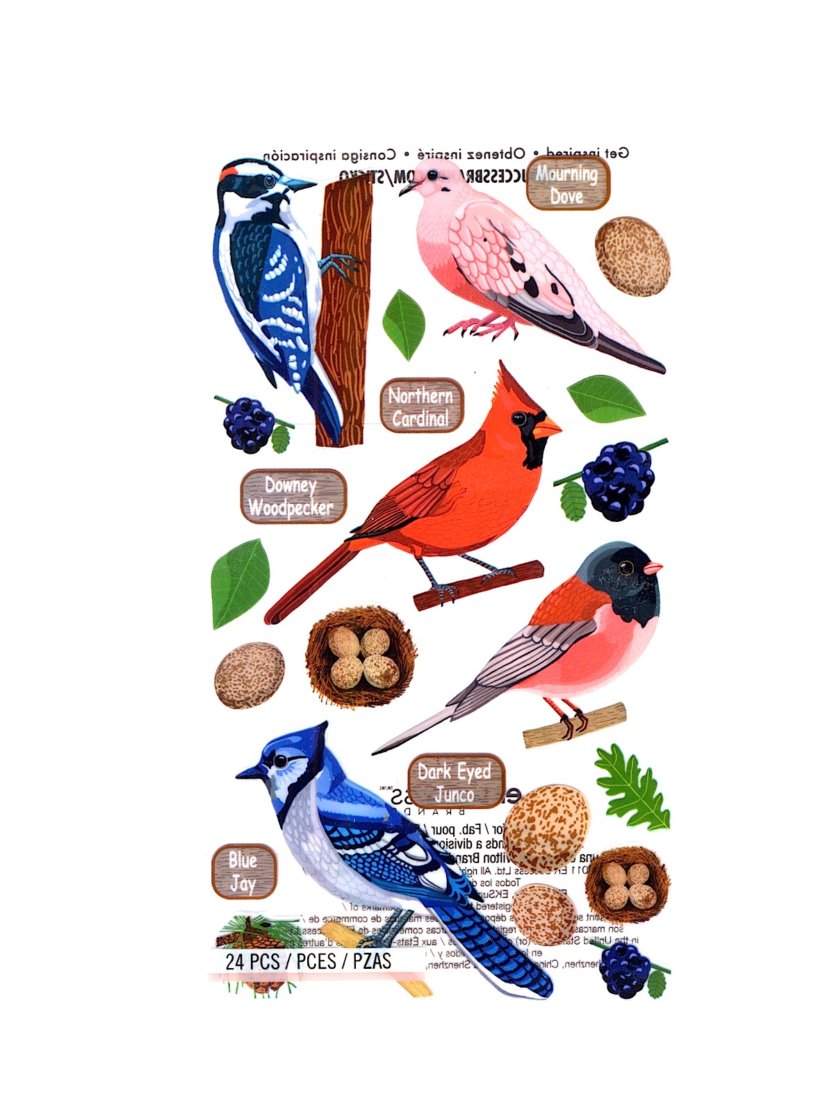Classic Stickers Acetate Top U.s. Birds 1 24 Pieces