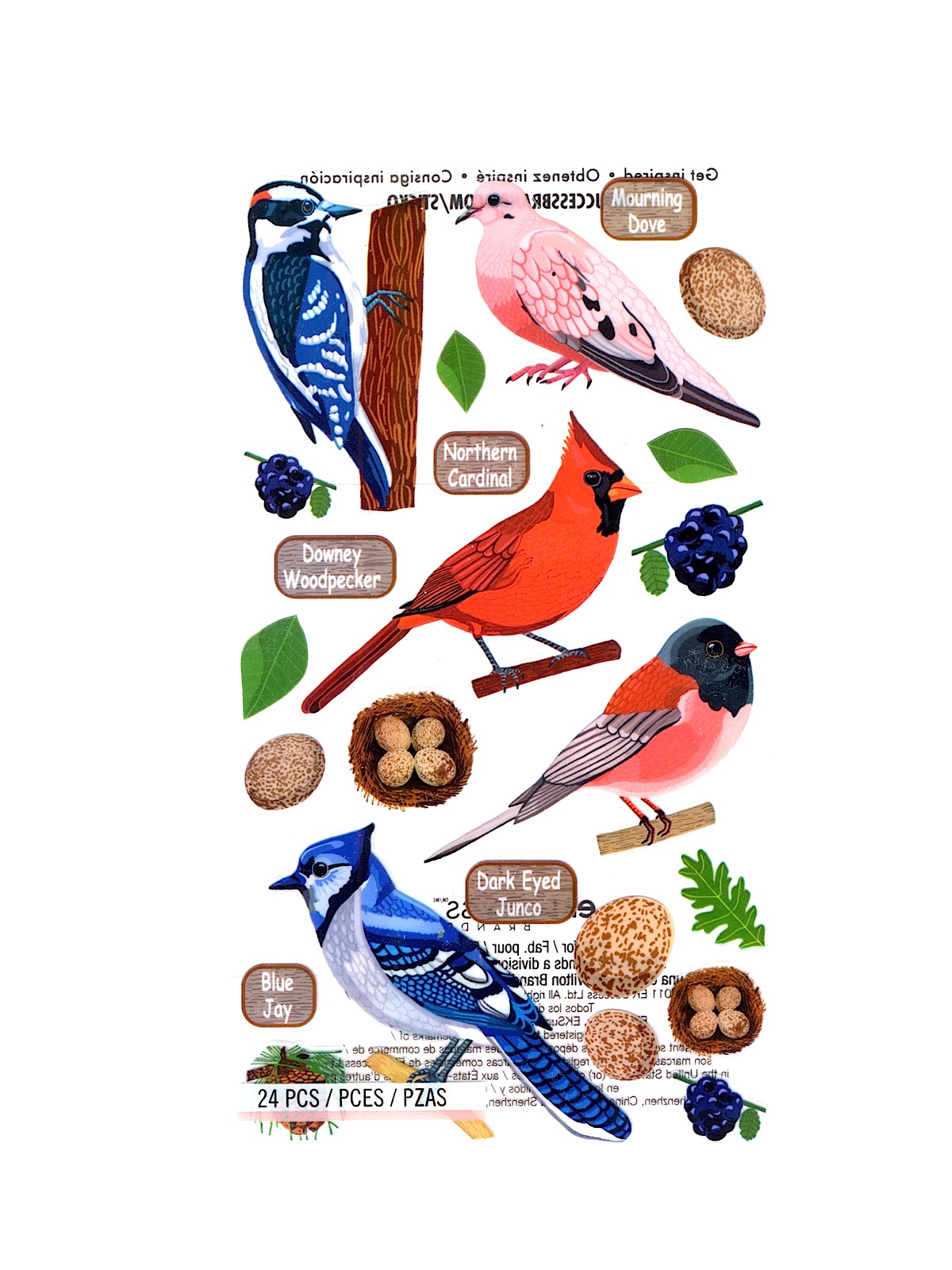 Classic Stickers acetate top U.S. birds 1 24 pieces
