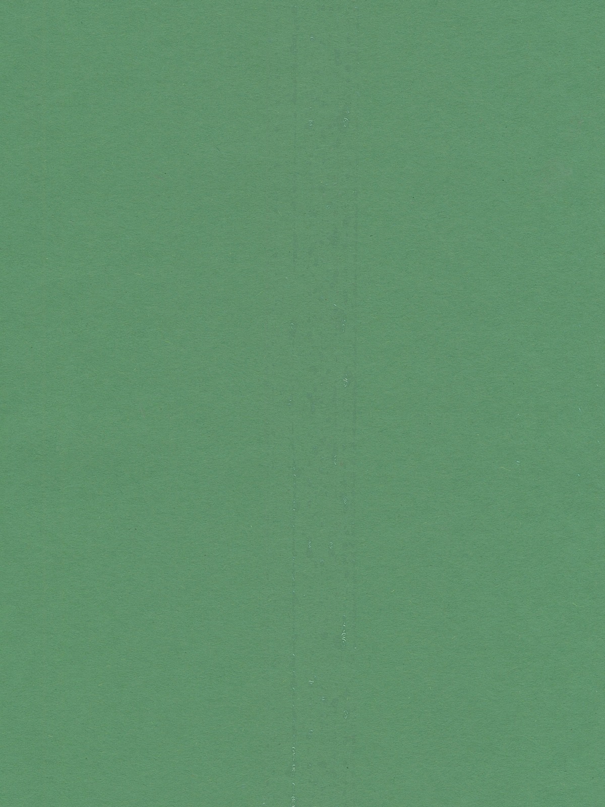 Sunworks Construction Paper green 12 in. x 18 in.