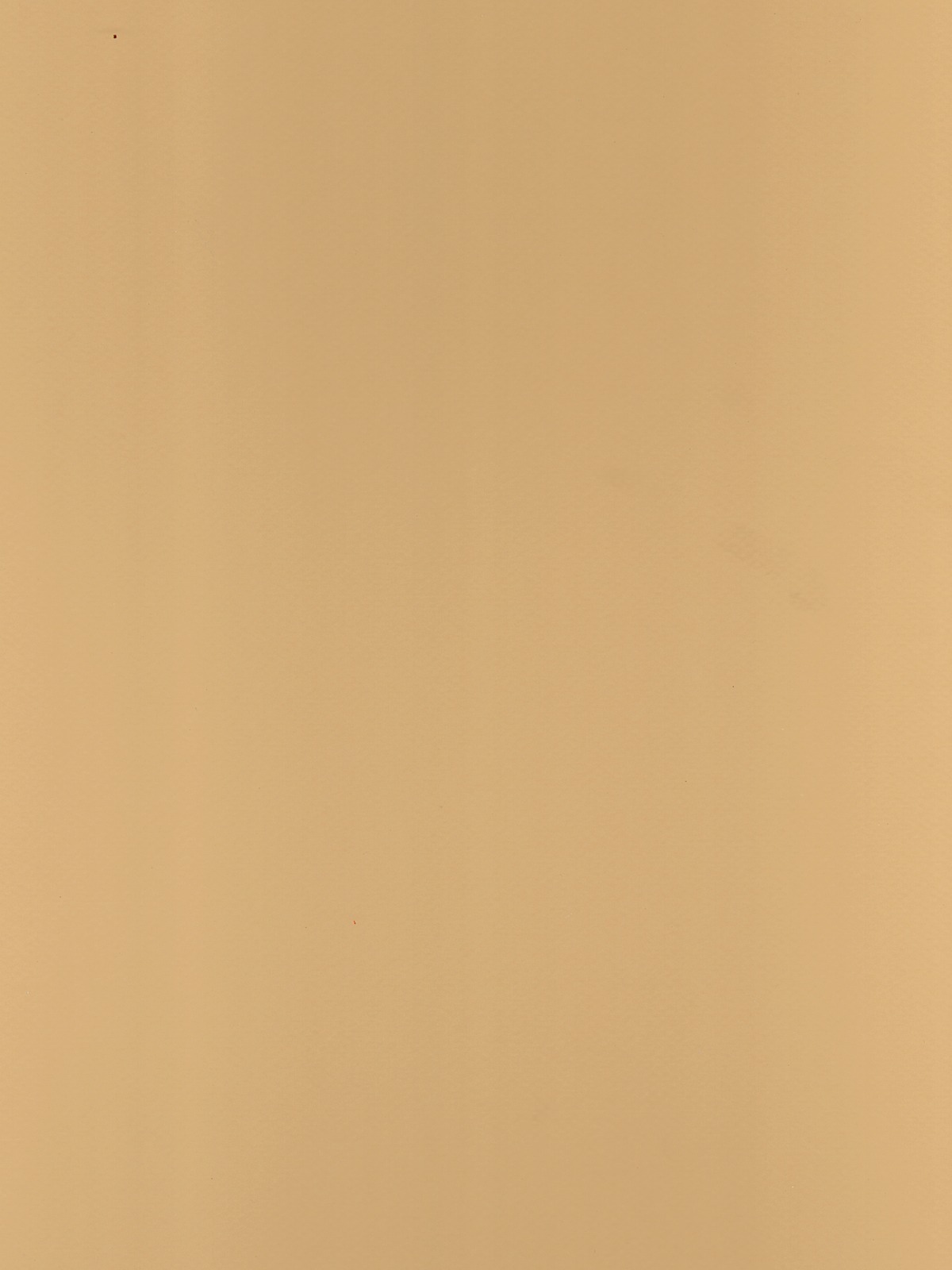 Mi-Teintes Mat Board champagne 16 in. x 20 in.