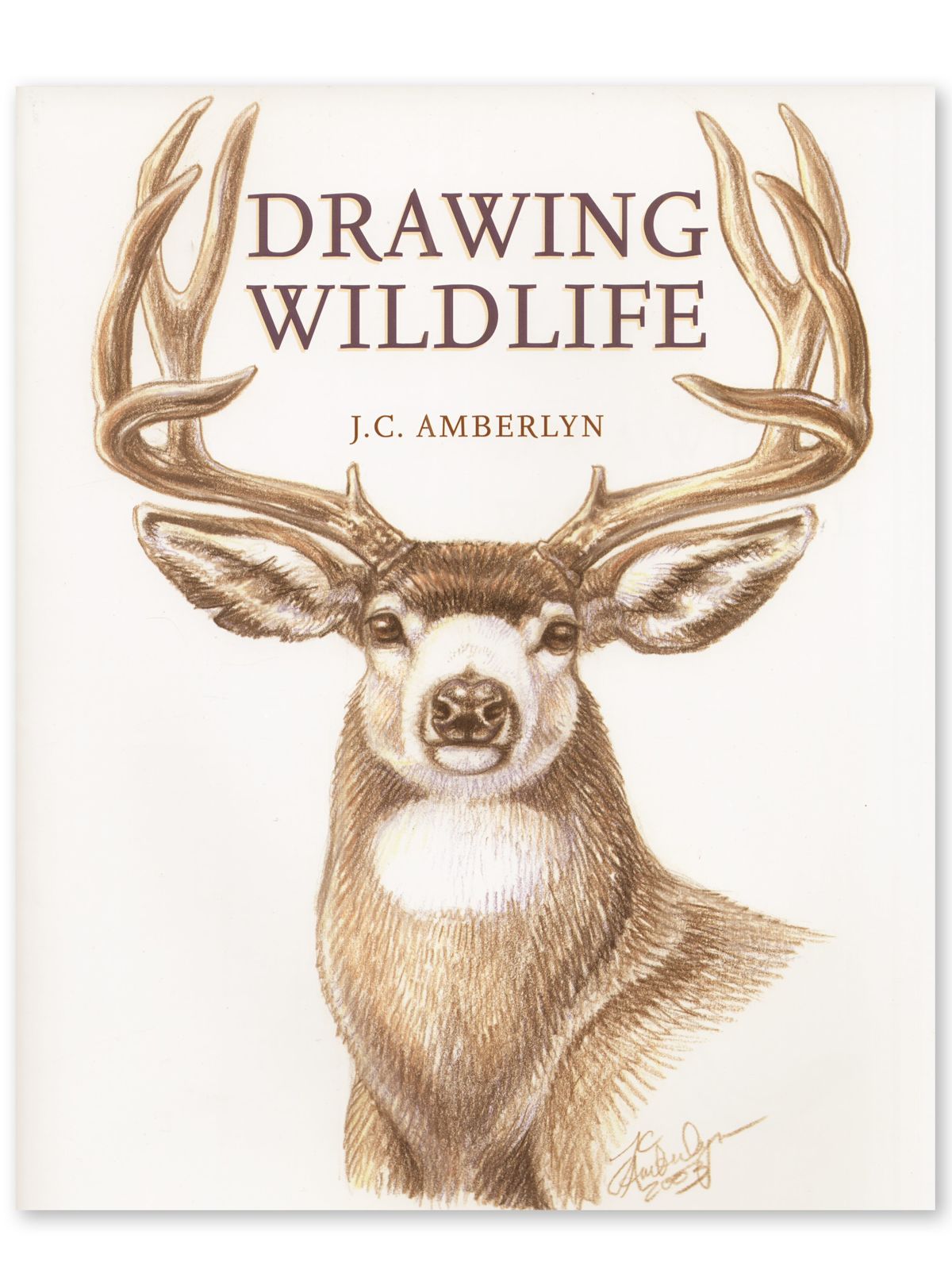 Drawing Wildlife Drawing Wildlife