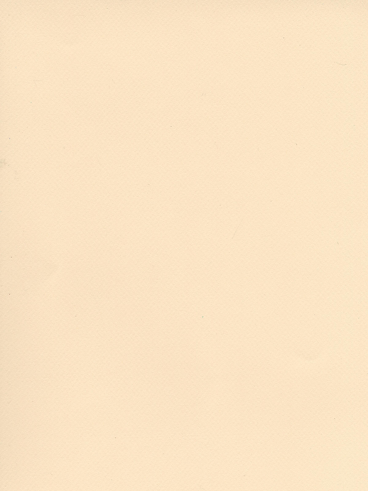 Mi-Teintes Tinted Paper ivory 19 in. x 25 in.