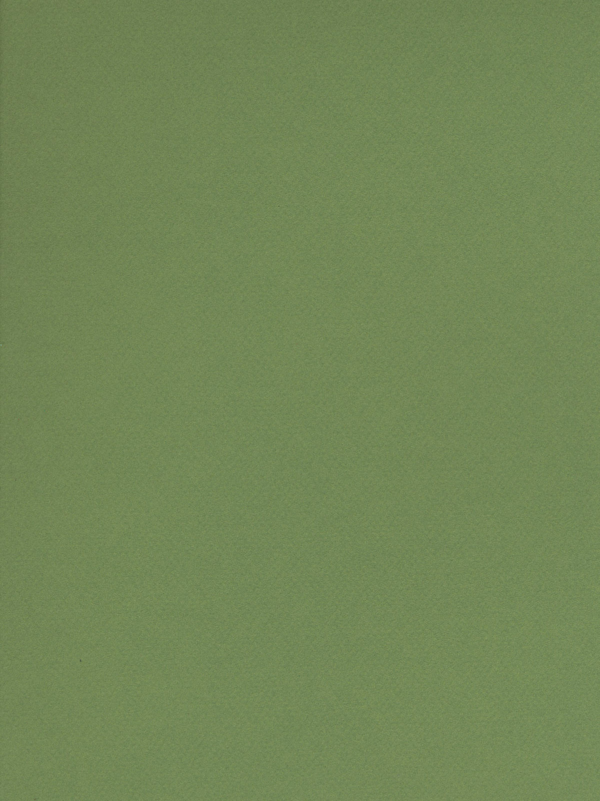 Mi-teintes Tinted Paper Green 19 In. X 25 In.