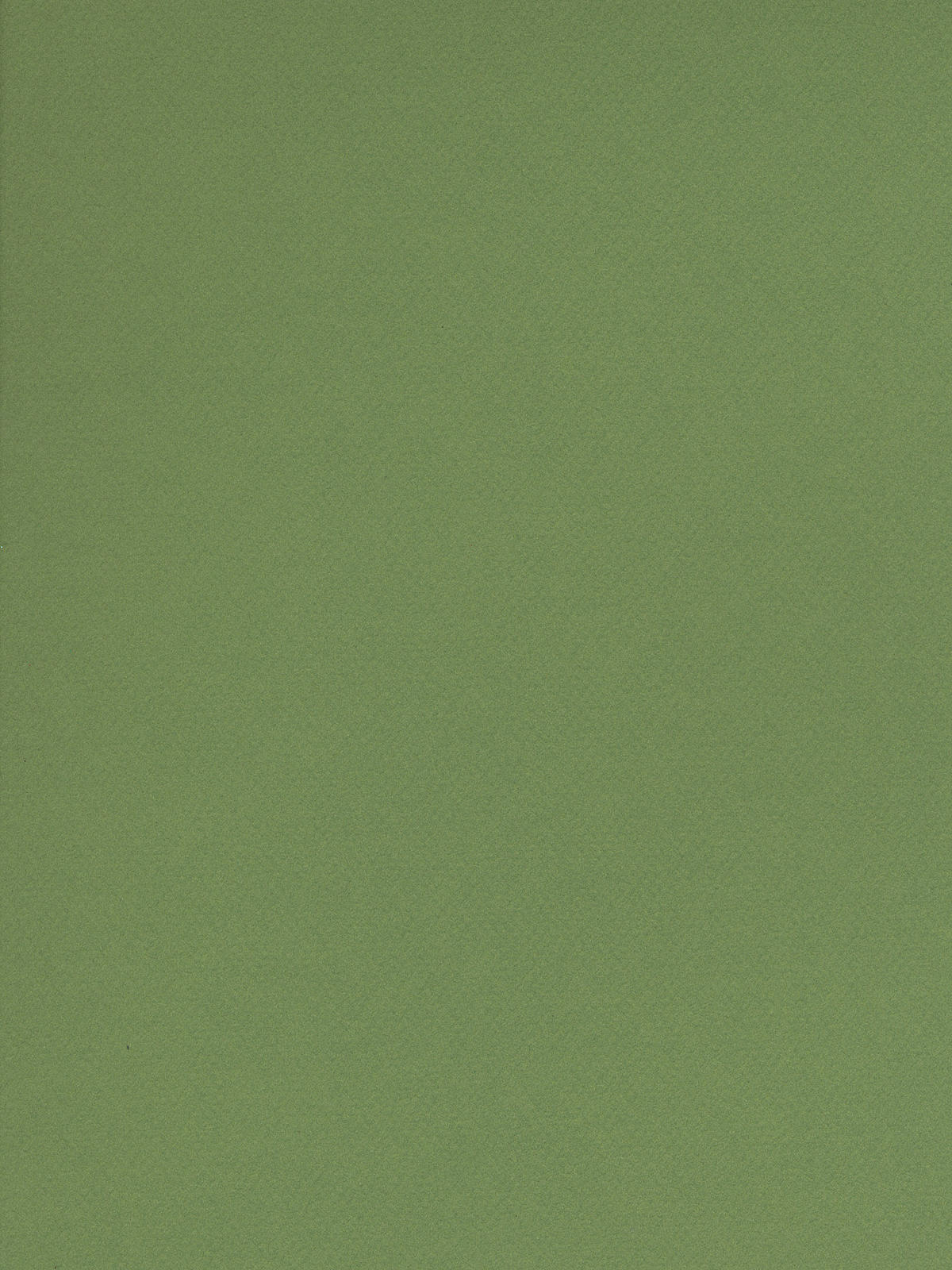 Mi-Teintes Tinted Paper green 19 in. x 25 in.
