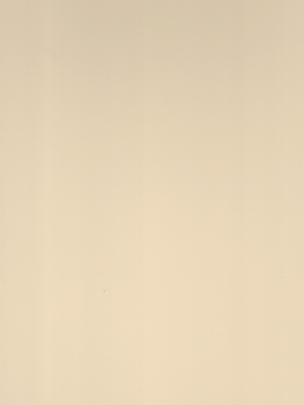 Mi-Teintes Mat Board ivory 16 in. x 20 in.