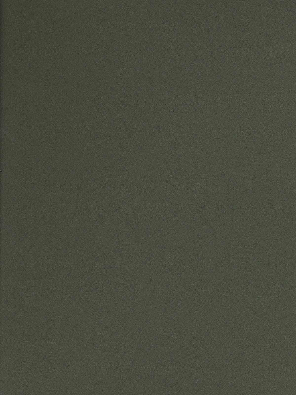 Mi-Teintes Tinted Paper ivy 19 in. x 25 in.