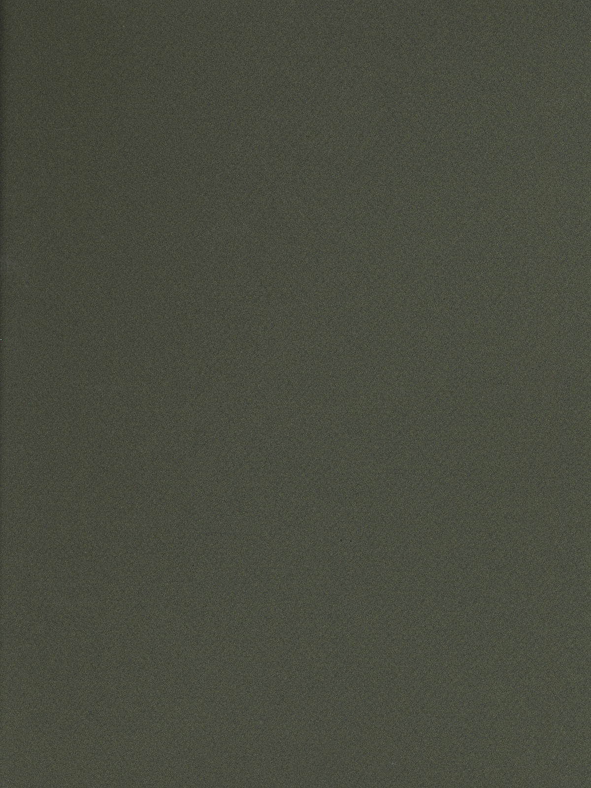 Mi-teintes Tinted Paper Ivy 19 In. X 25 In.