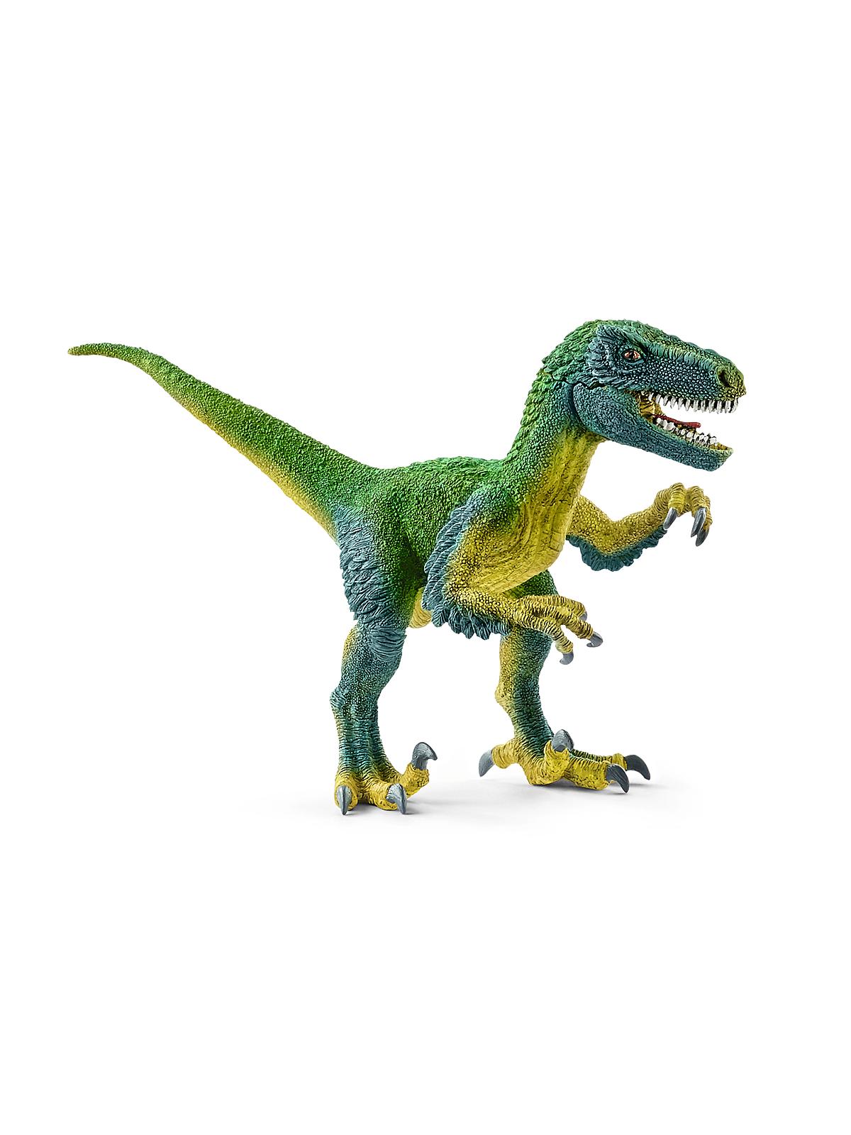 Dinosaurs velociraptor