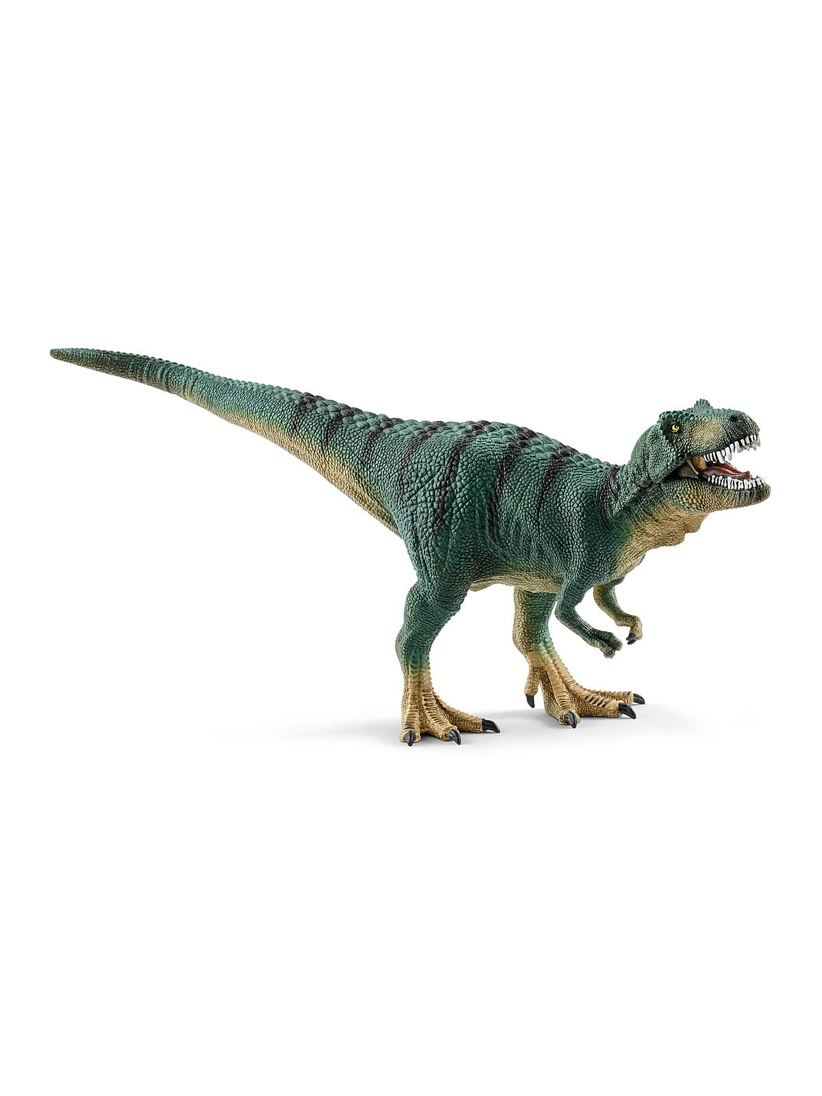 Dinosaurs Tyrannosaurus Rex, juvenile