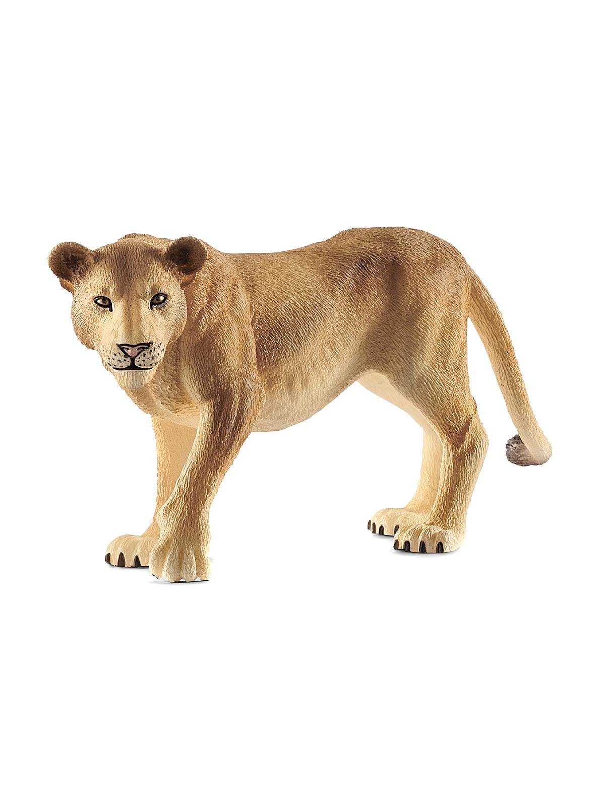 Wild Life Animals lioness