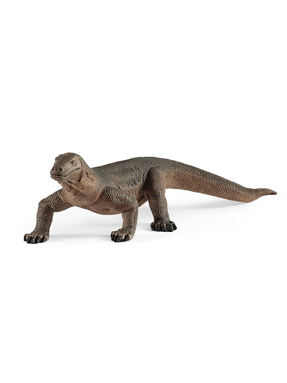 Wild Life Animals Komodo dragon