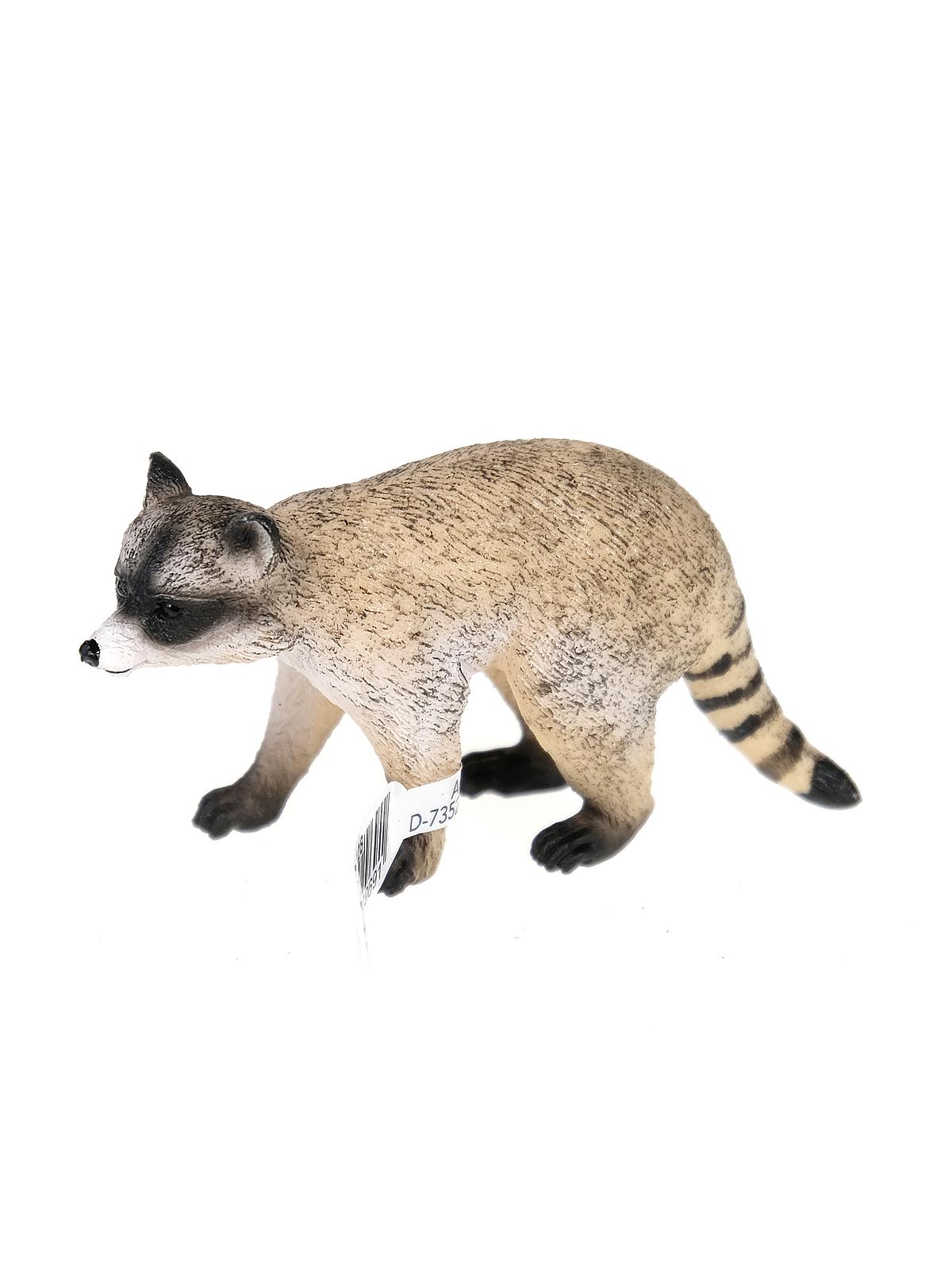 Wild Life Animals Raccoon