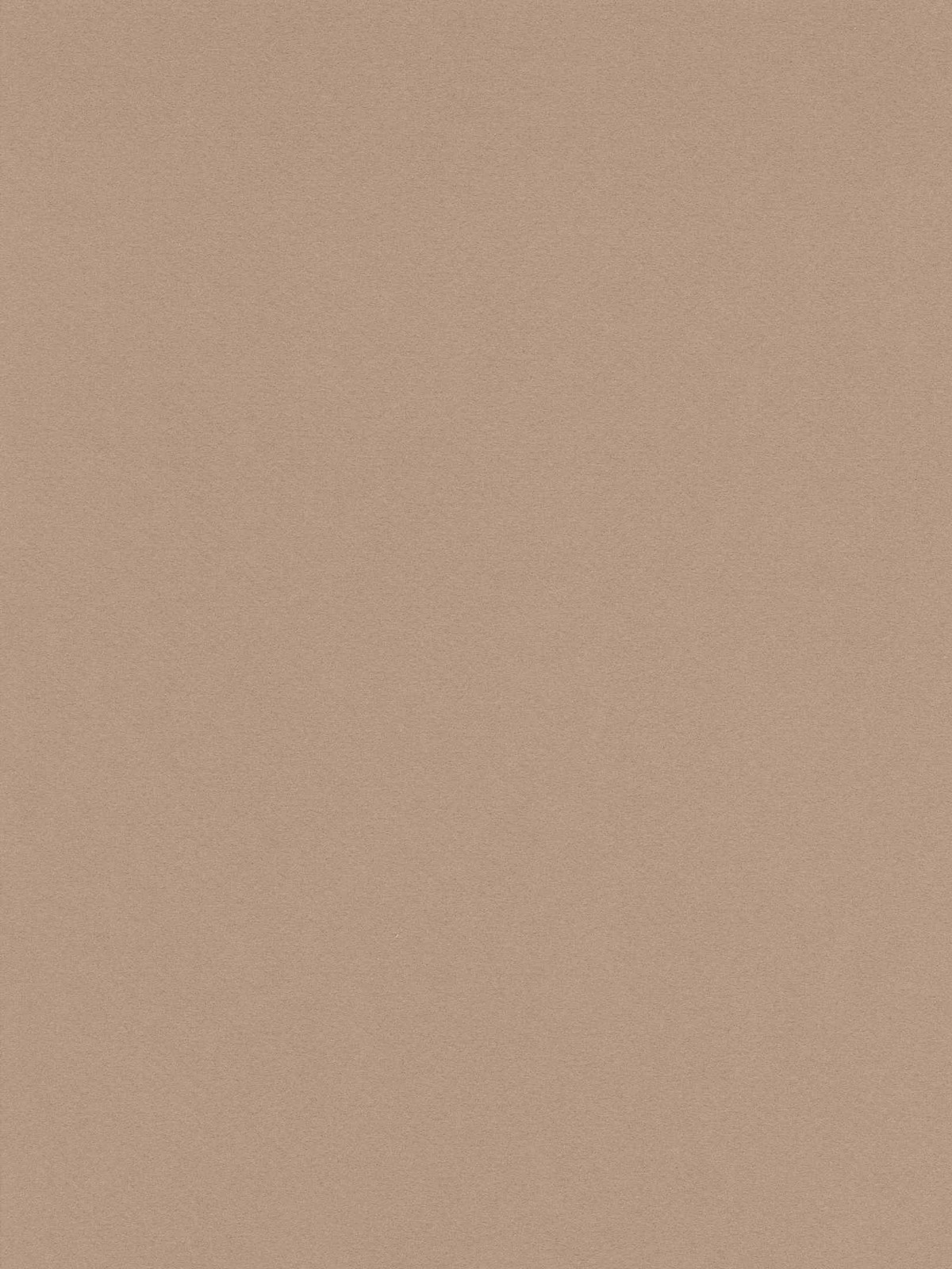 Mi-Teintes Mat Board sand 16 in. x 20 in.
