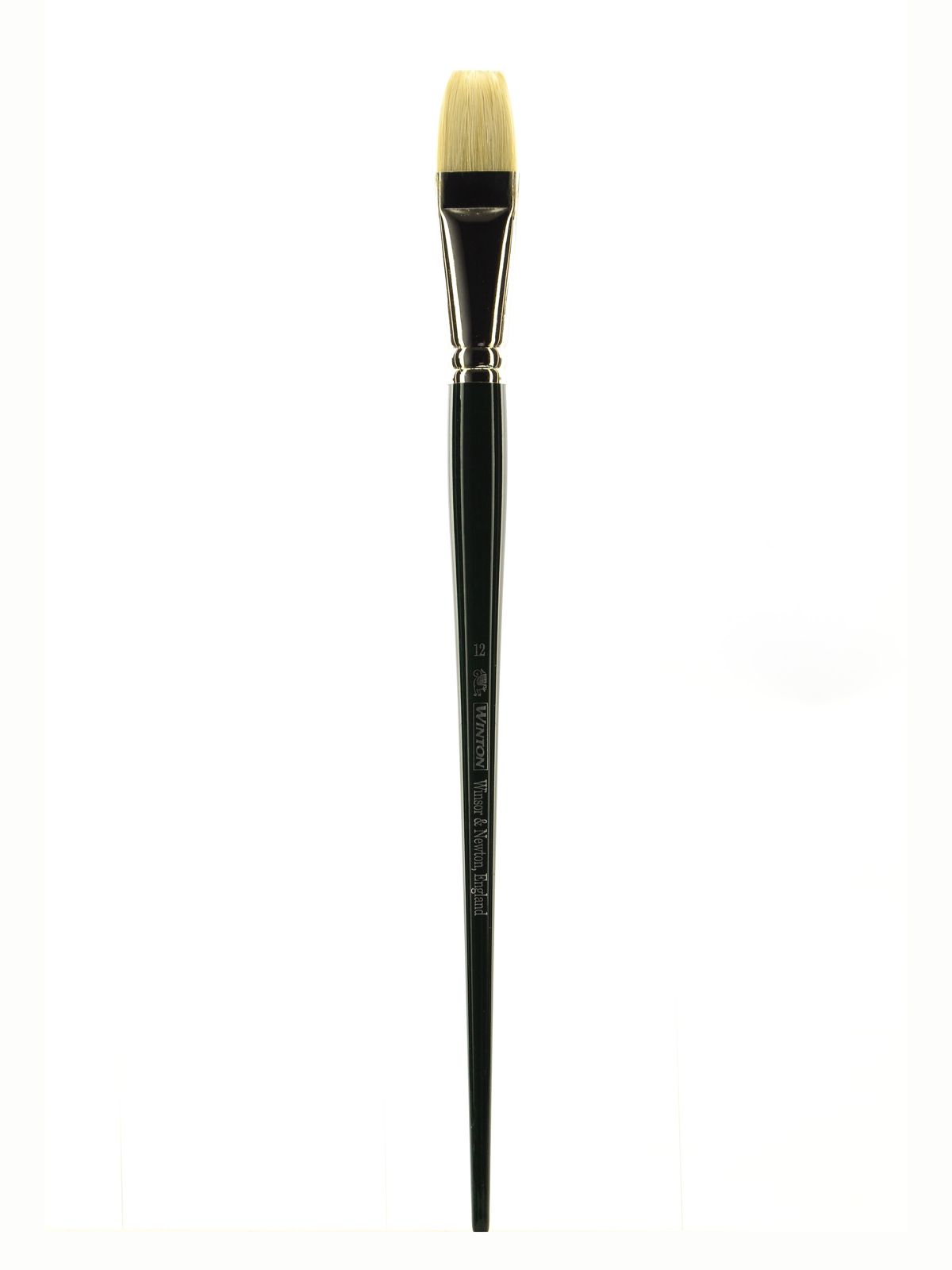 Winton Hog Brushes 12 short flat bright