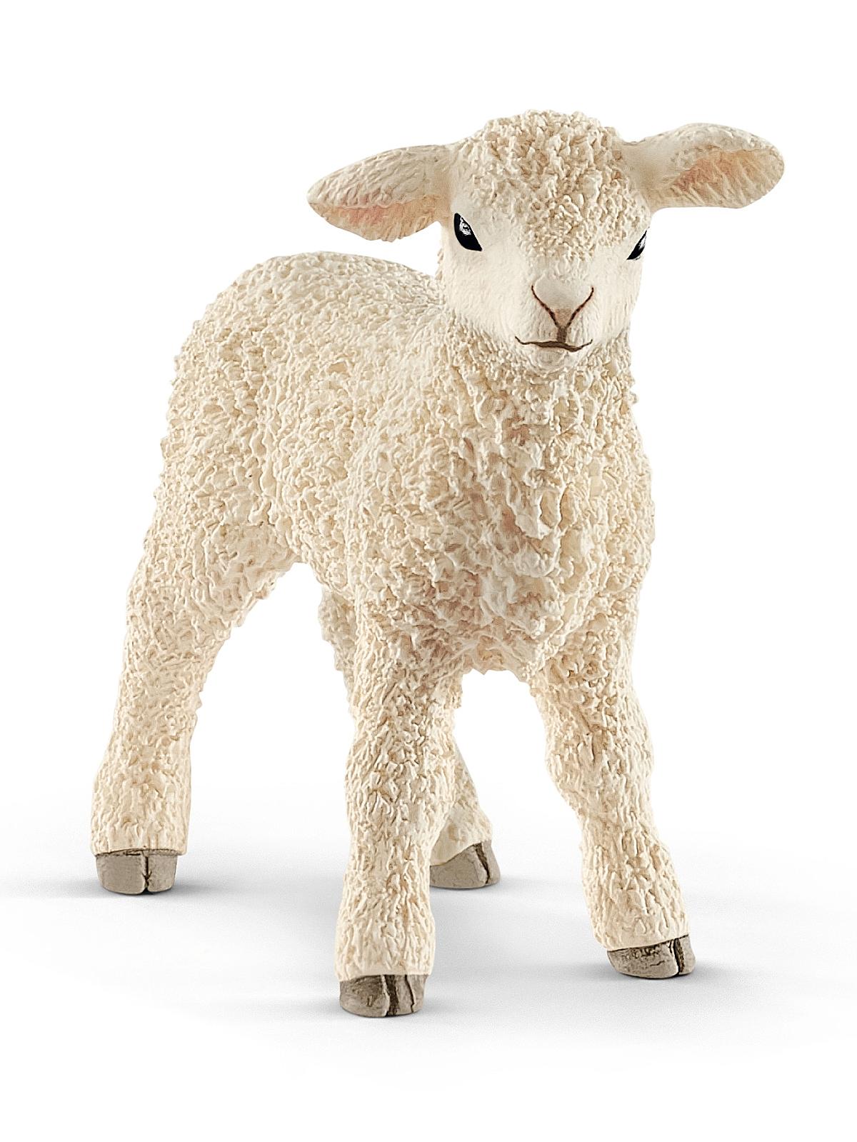 Farm World Animals Lamb