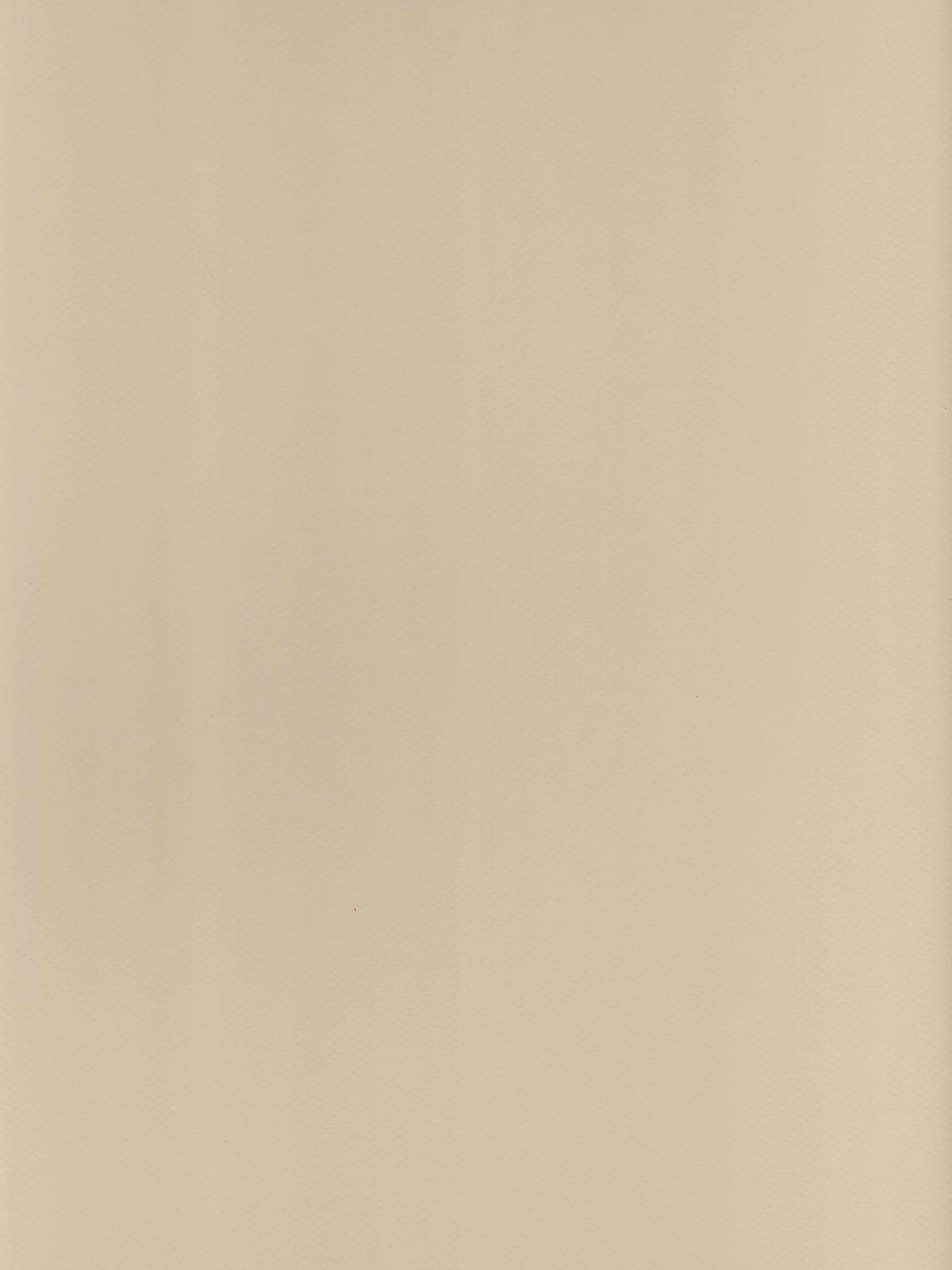 Mi-Teintes Mat Board eggshell 16 in. x 20 in.