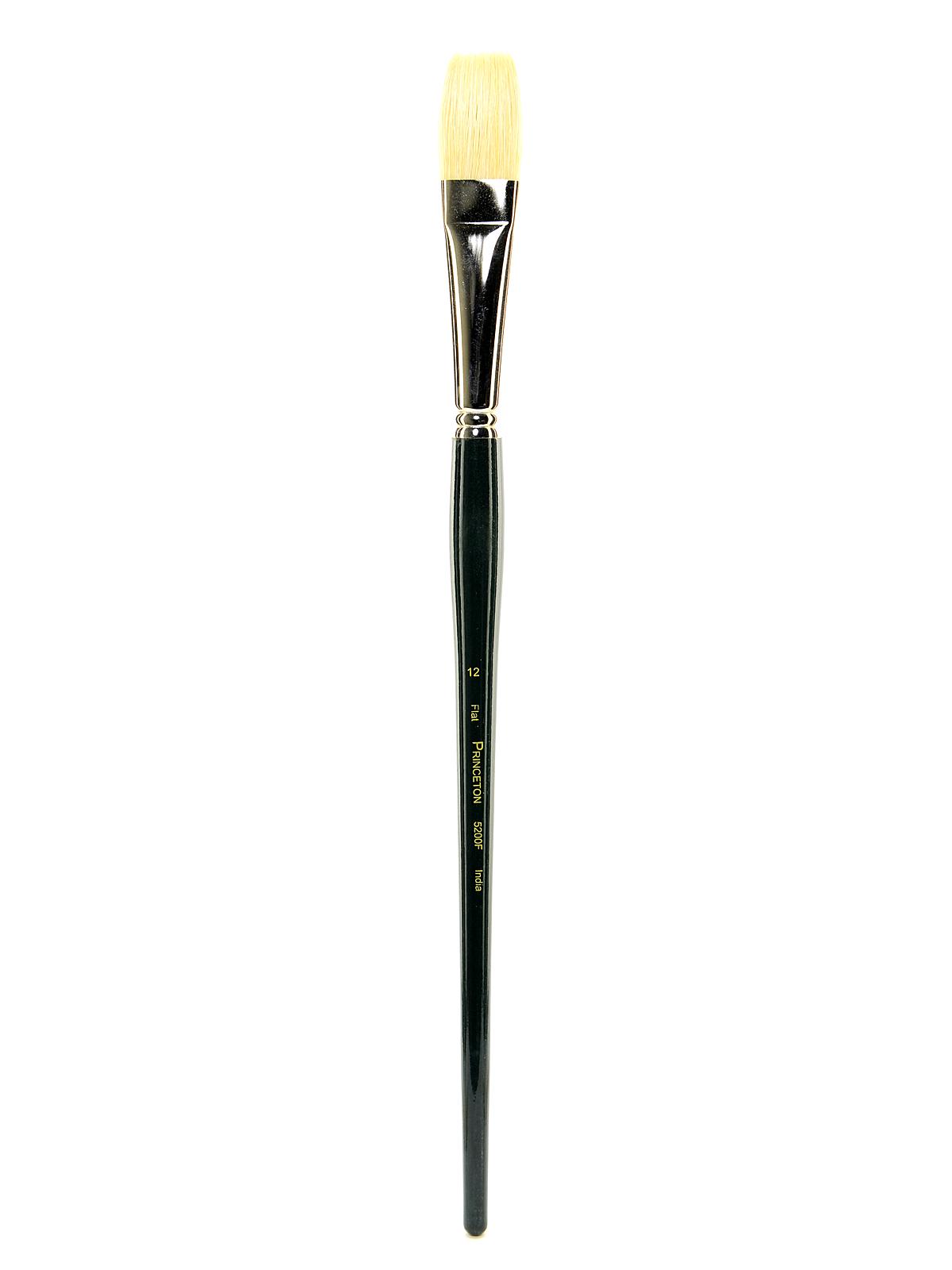 Series 5200 Ashley Long Handle Bristle Brushes 12 flat