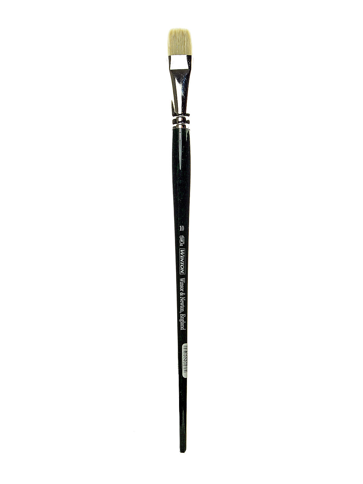 Winton Hog Brushes 10 long flat