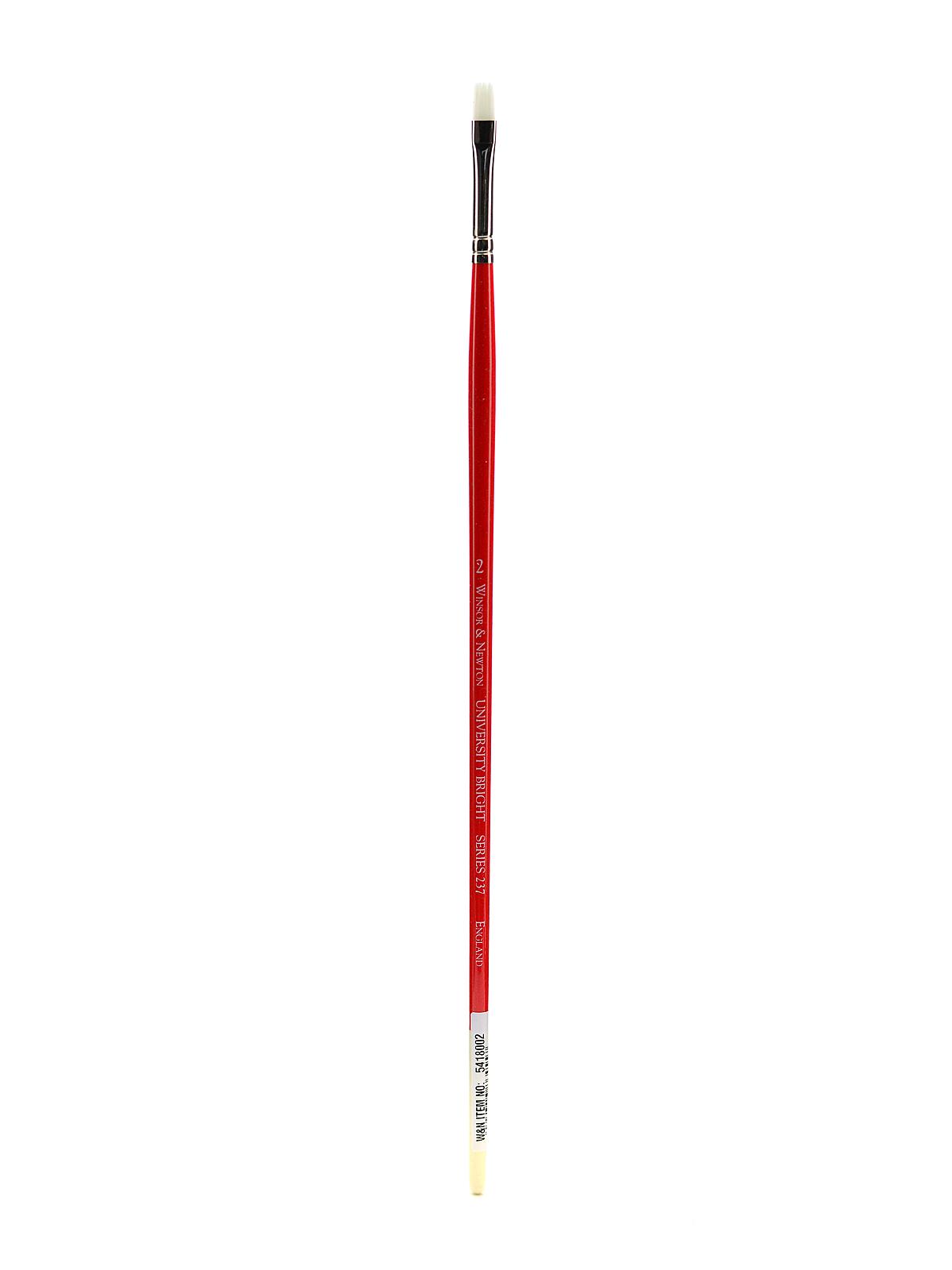 University Series Long Handled Brushes 2 bright 237