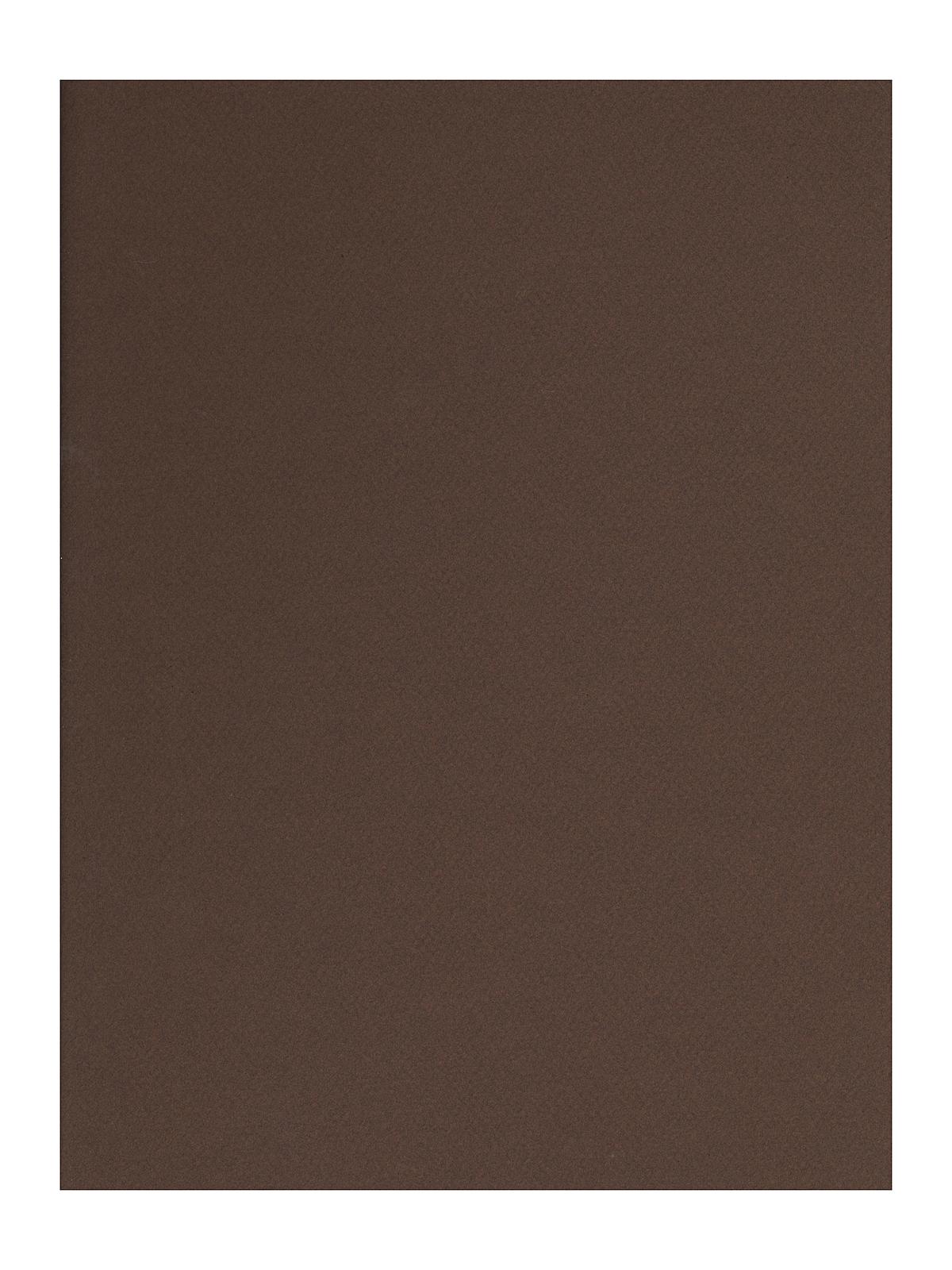 Mi-Teintes Tinted Paper tobacco 19 in. x 25 in.