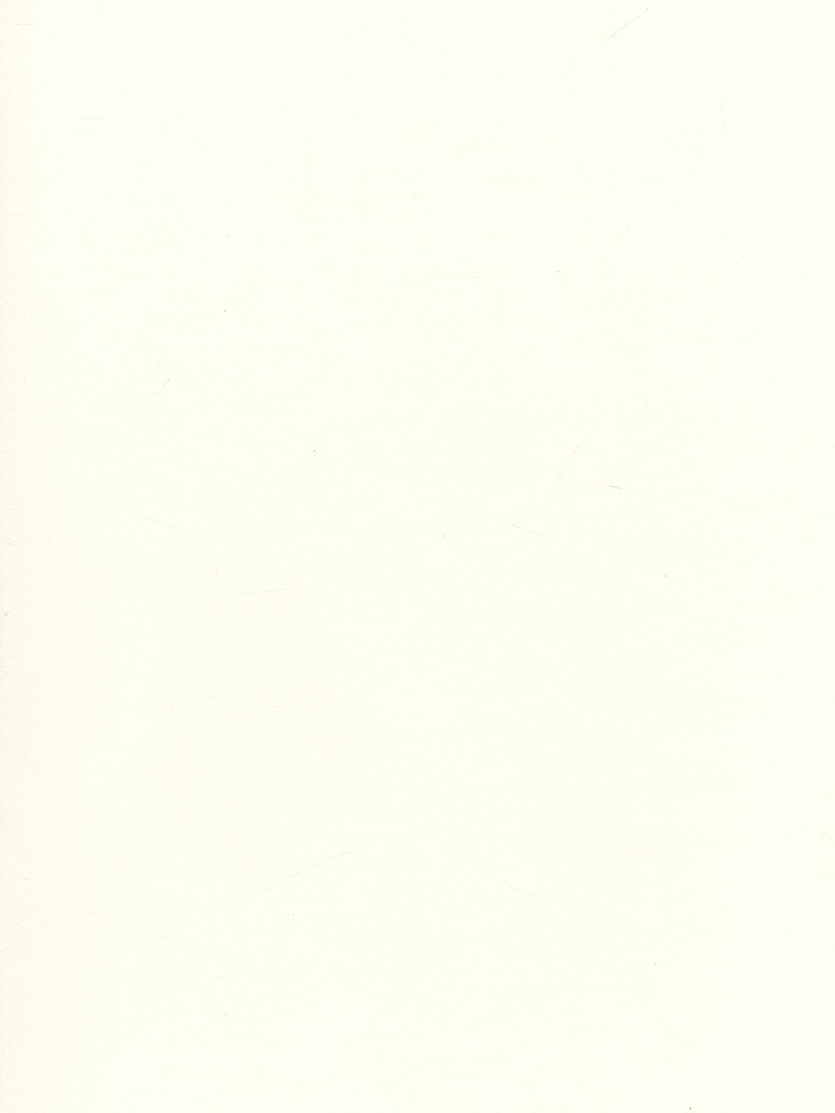 Lenox 100 Paper 22 In. X 30 In. Sheet White