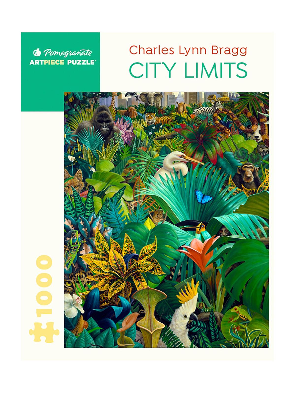 1000-Piece Jigsaw Puzzles Charles Lynn Bragg: City Limits