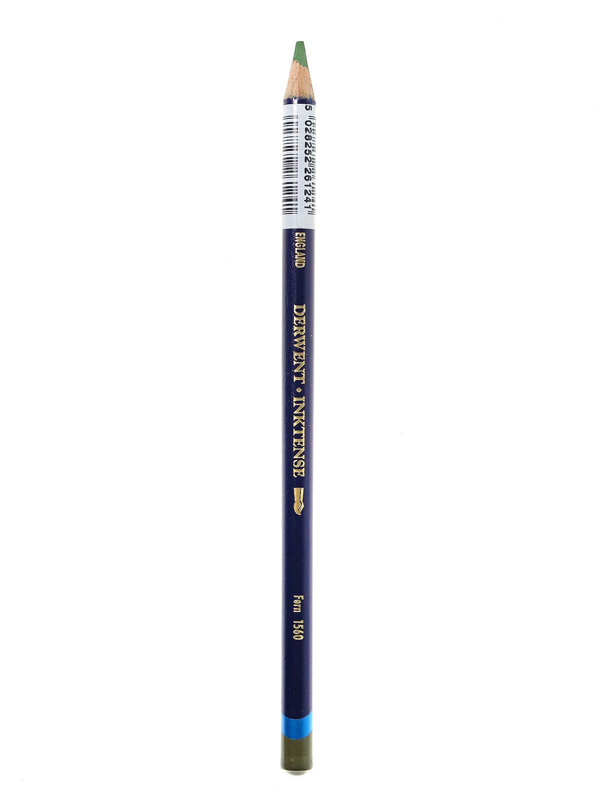 Inktense Pencils fern 1560