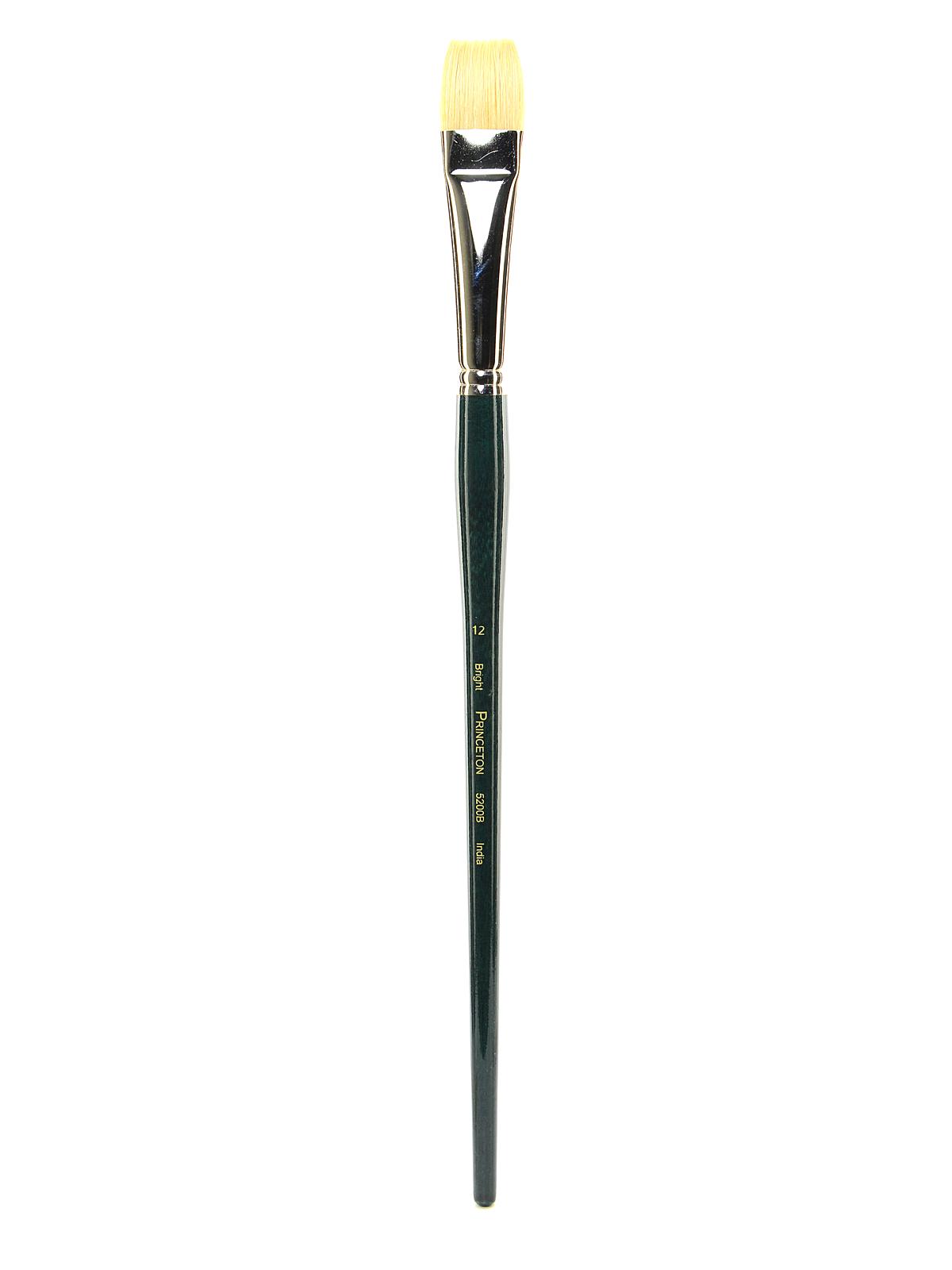 Series 5200 Ashley Long Handle Bristle Brushes 12 bright