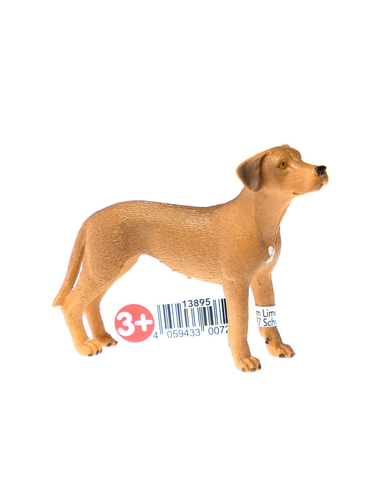 Farm World Animals Rhodesian Ridgeback
