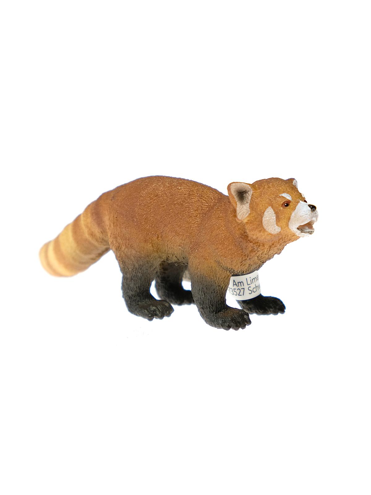 Wild Life Animals Red Panda