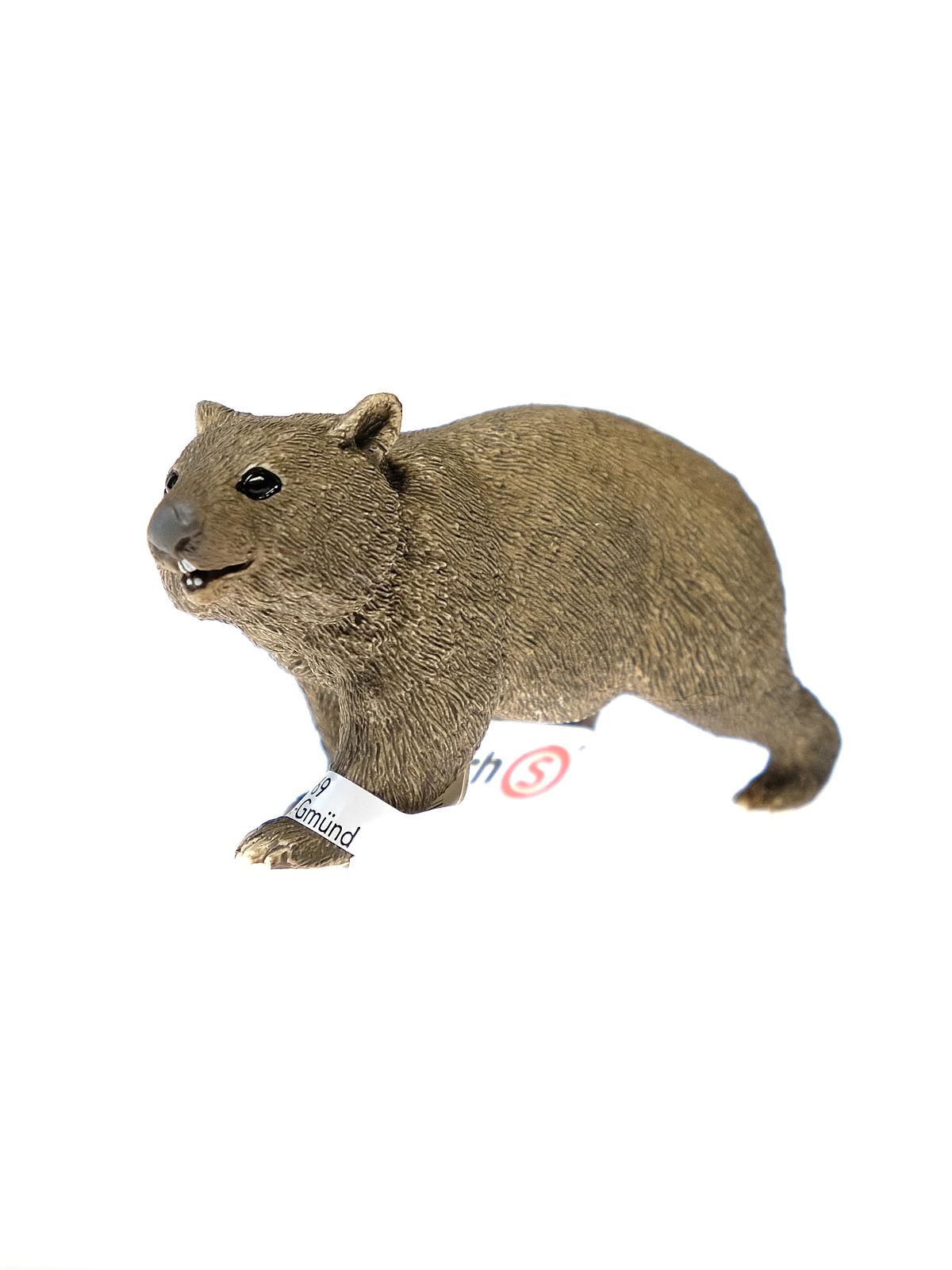 Wild Life Animals Wombat