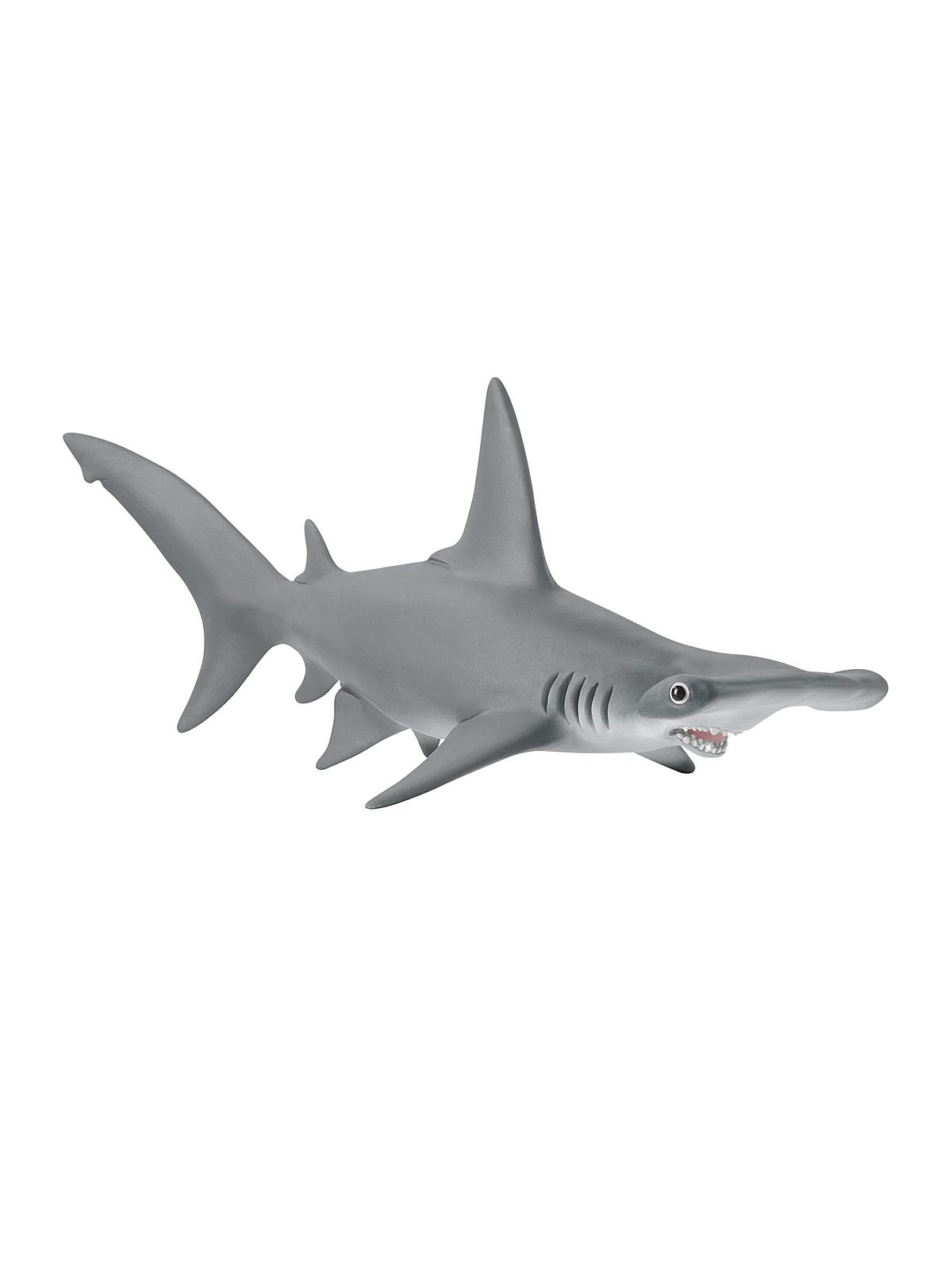 Wild Life Animals Hammerhead Shark
