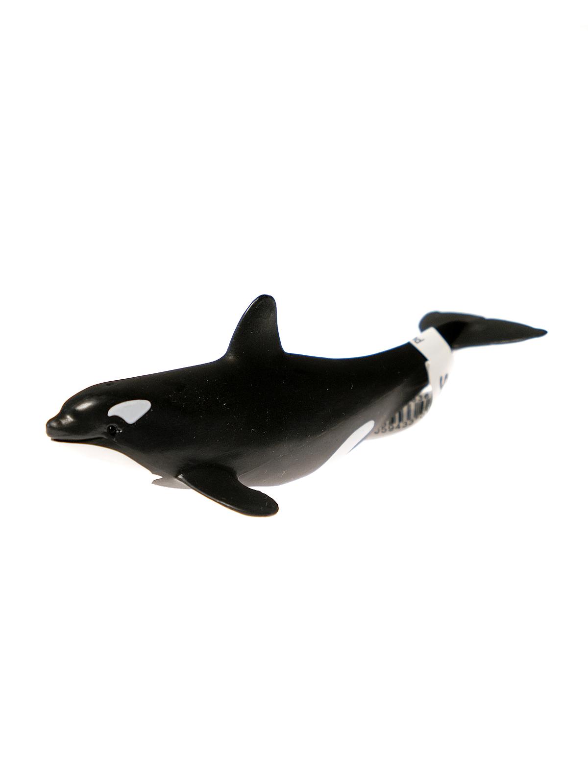 Wild Life Animals Baby Orca