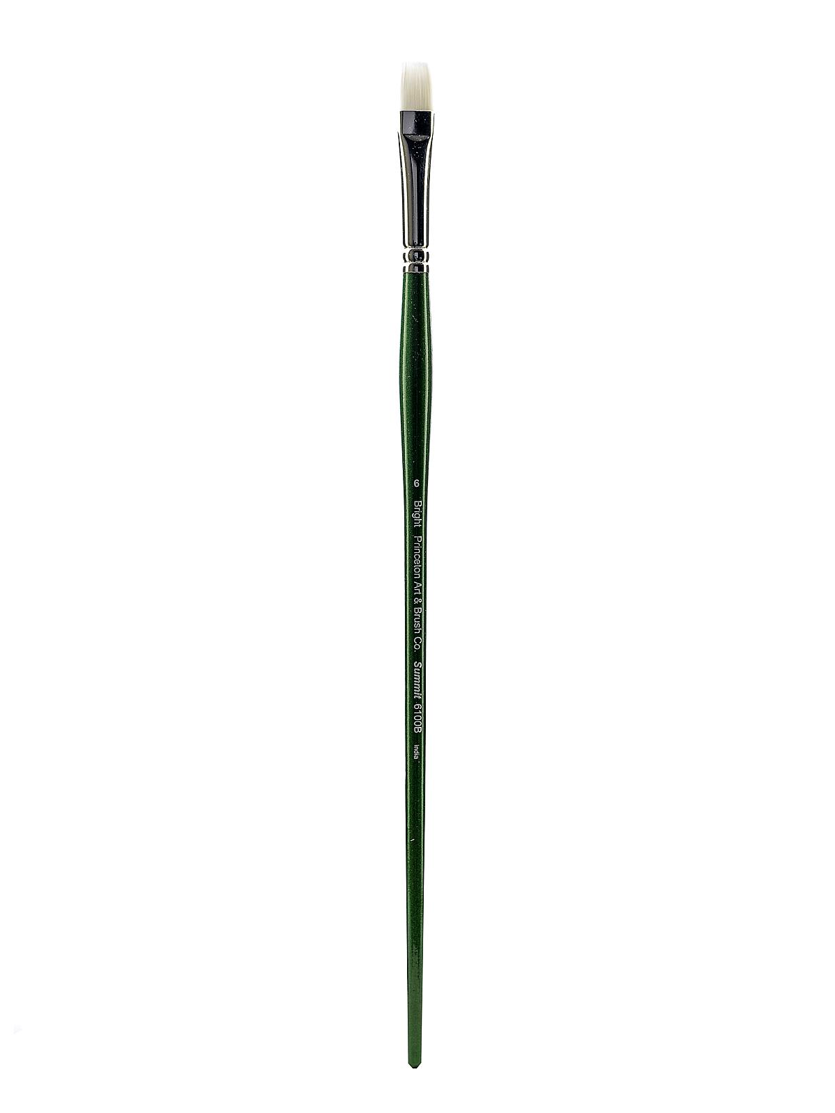 Series 6100 Summit White Synthetic Long Handle Brushes 6 bright