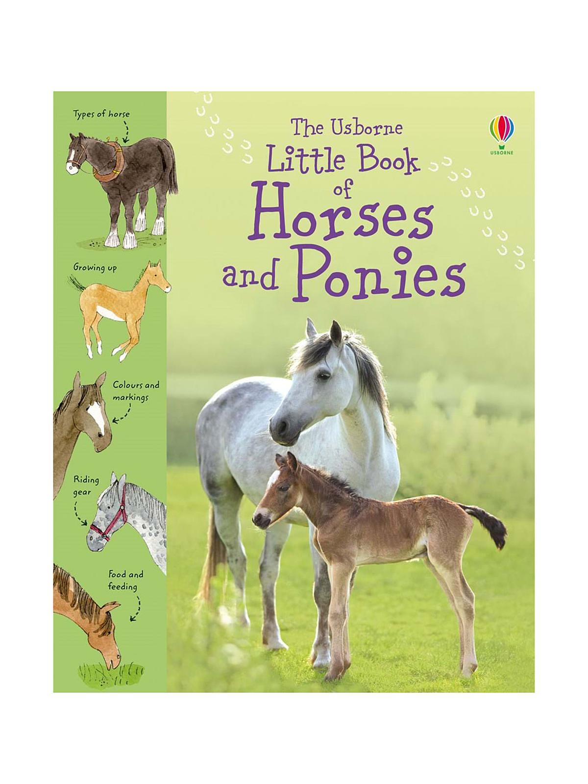 Little Sticker Books Horses & Ponies
