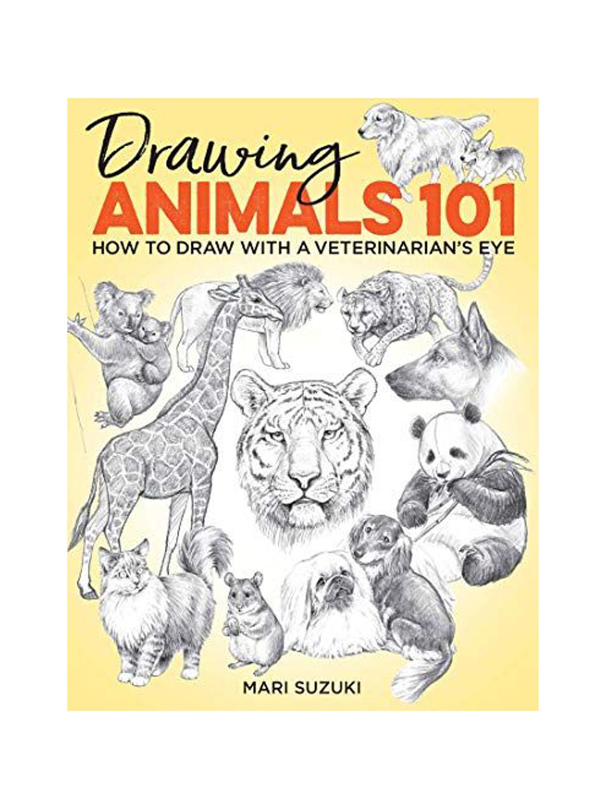 Drawing Animals 101 each