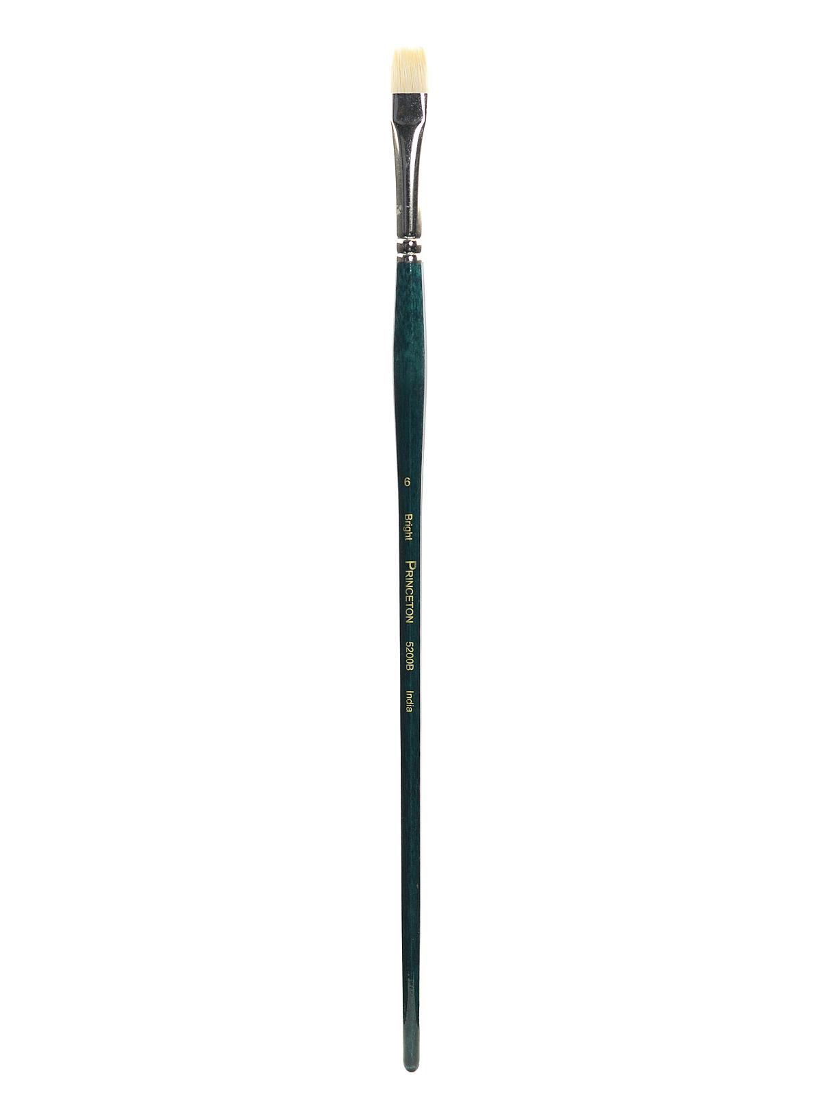 Series 5200 Ashley Long Handle Bristle Brushes 6 bright