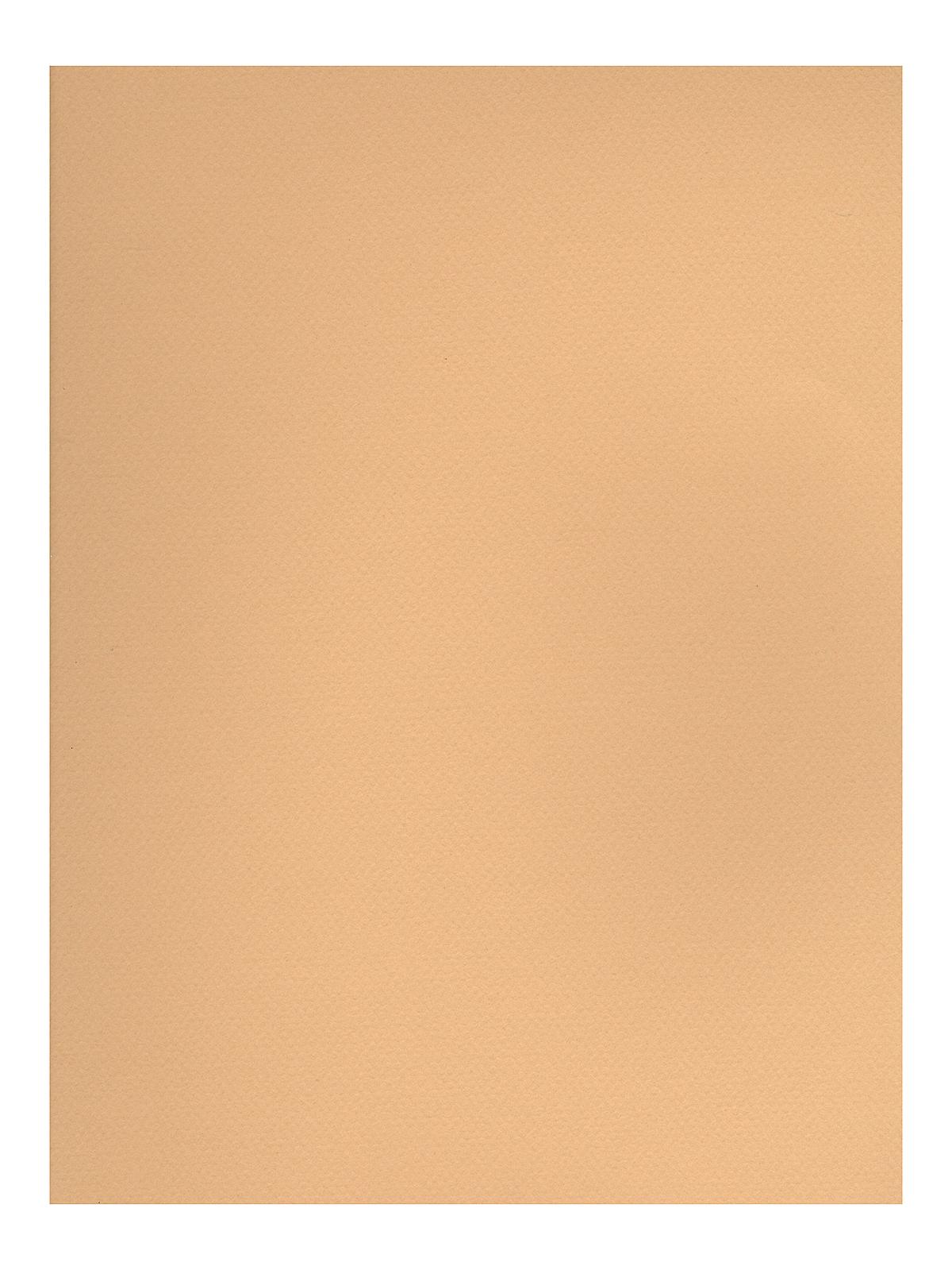 Mi-teintes Tinted Paper Champagne 19 In. X 25 In.
