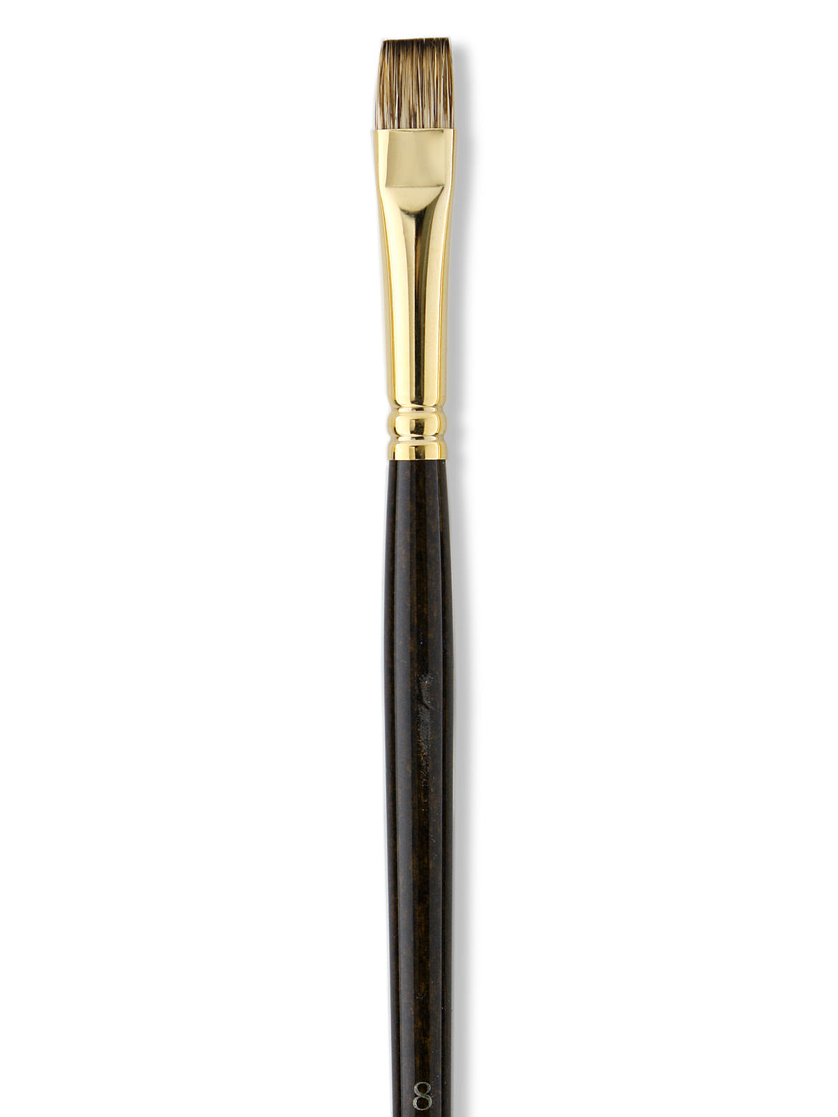Monarch Brushes 8 flat bright long handle