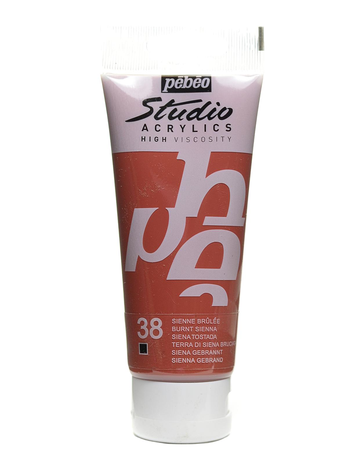 Studio Acrylic Paint Burnt Sienna 100 Ml