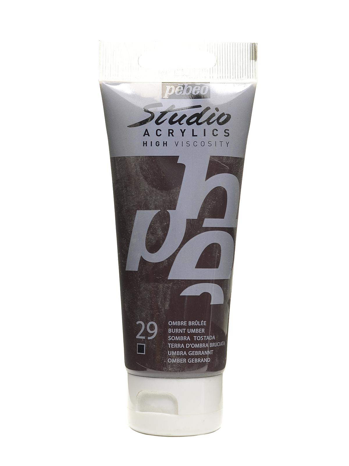 Studio Acrylic Paint Burnt Umber 100 Ml