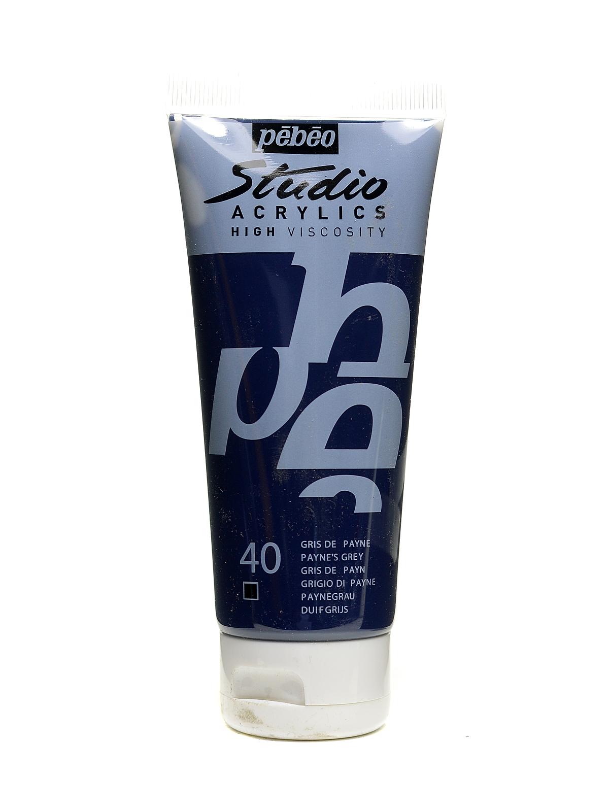 Studio Acrylic Paint Payne's grey 100 ml