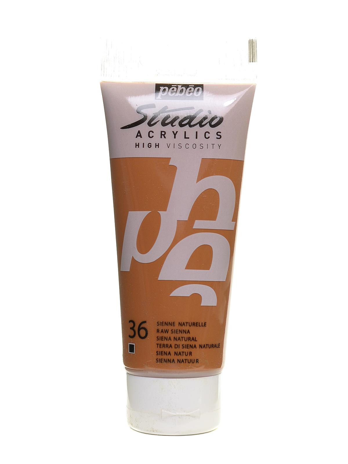 Studio Acrylic Paint Raw Sienna 100 Ml