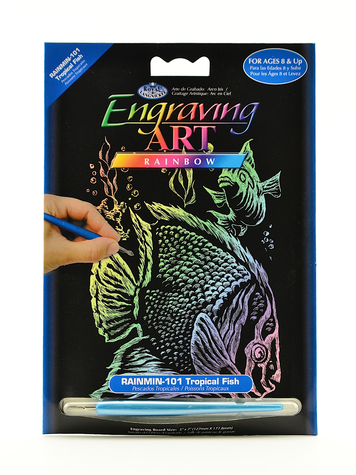 Mini Engraving Art Kits tropical fish rainbow