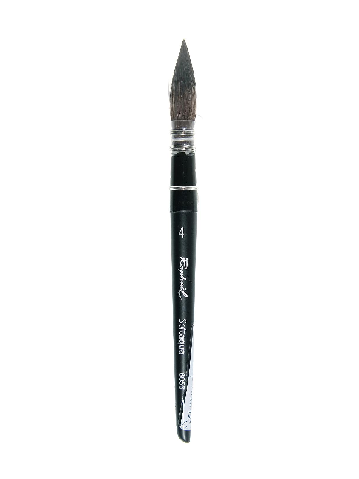 Mini Softaqua Mop Brushes 4