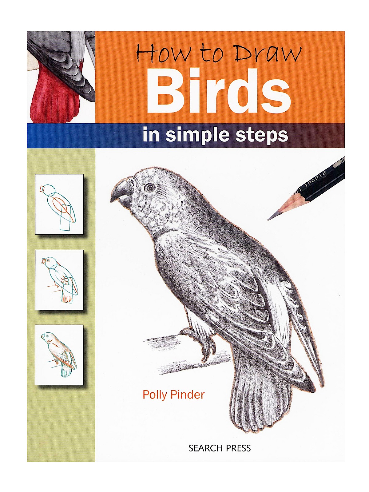 How To Draw Series Birds