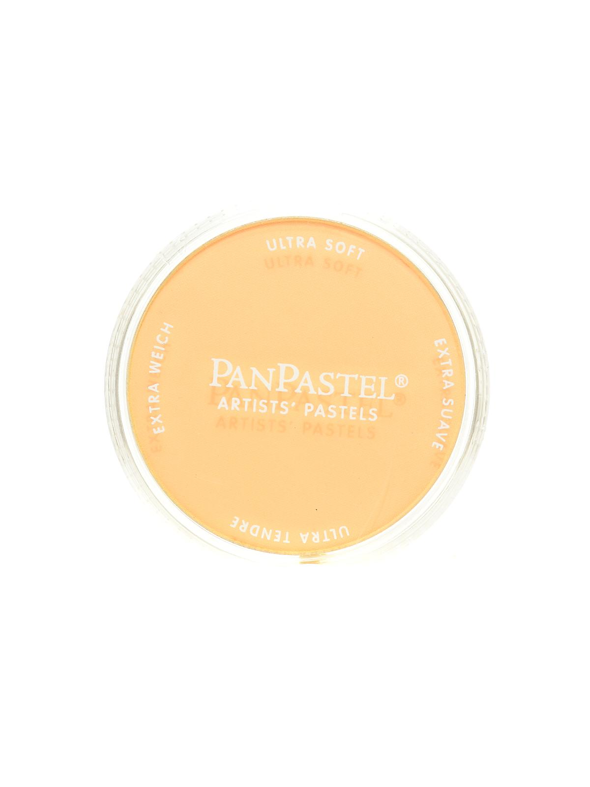 Artists' Pastels orange tint 280.8 9 ml